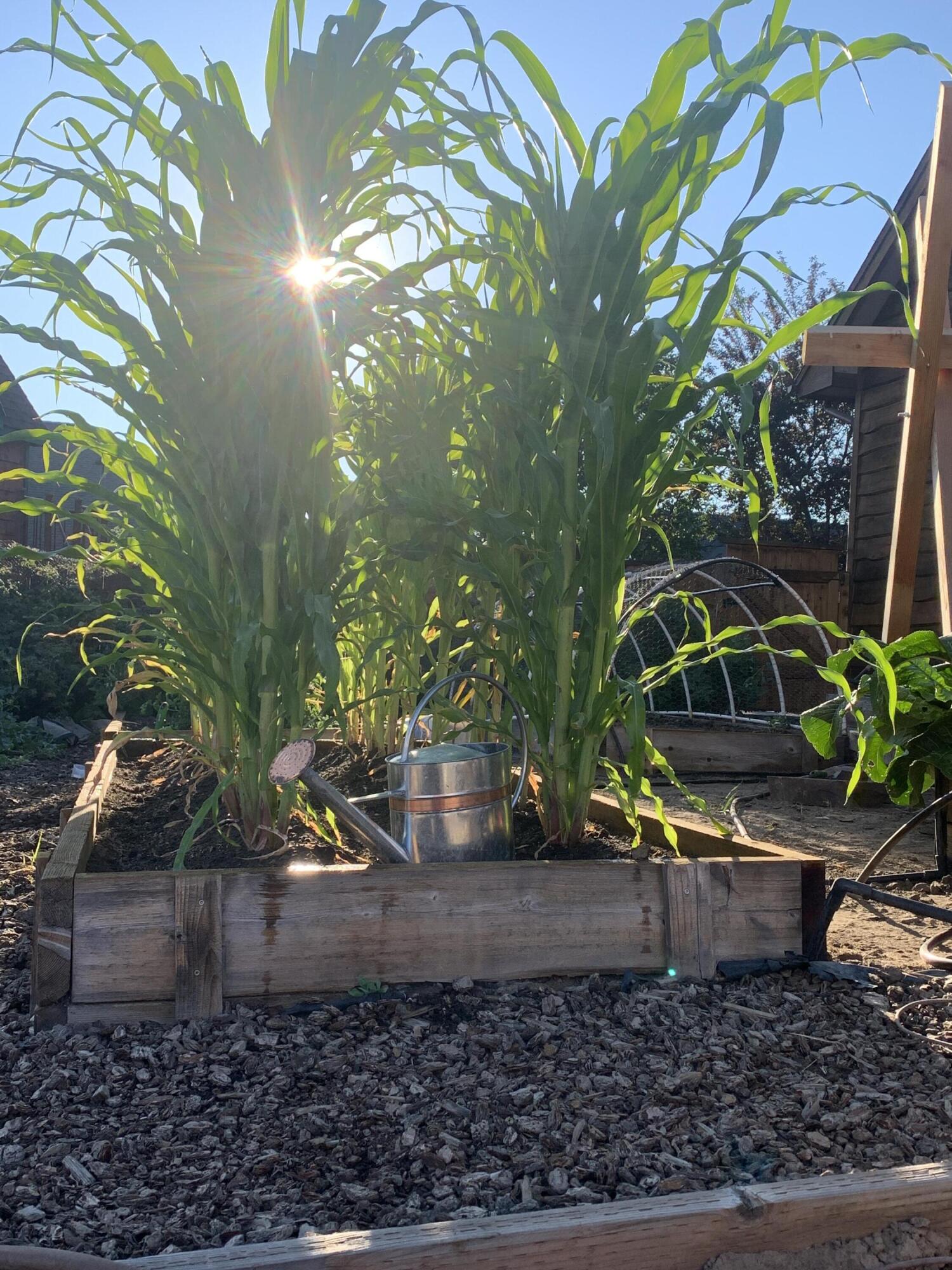 Klamath Meadows East - Residential