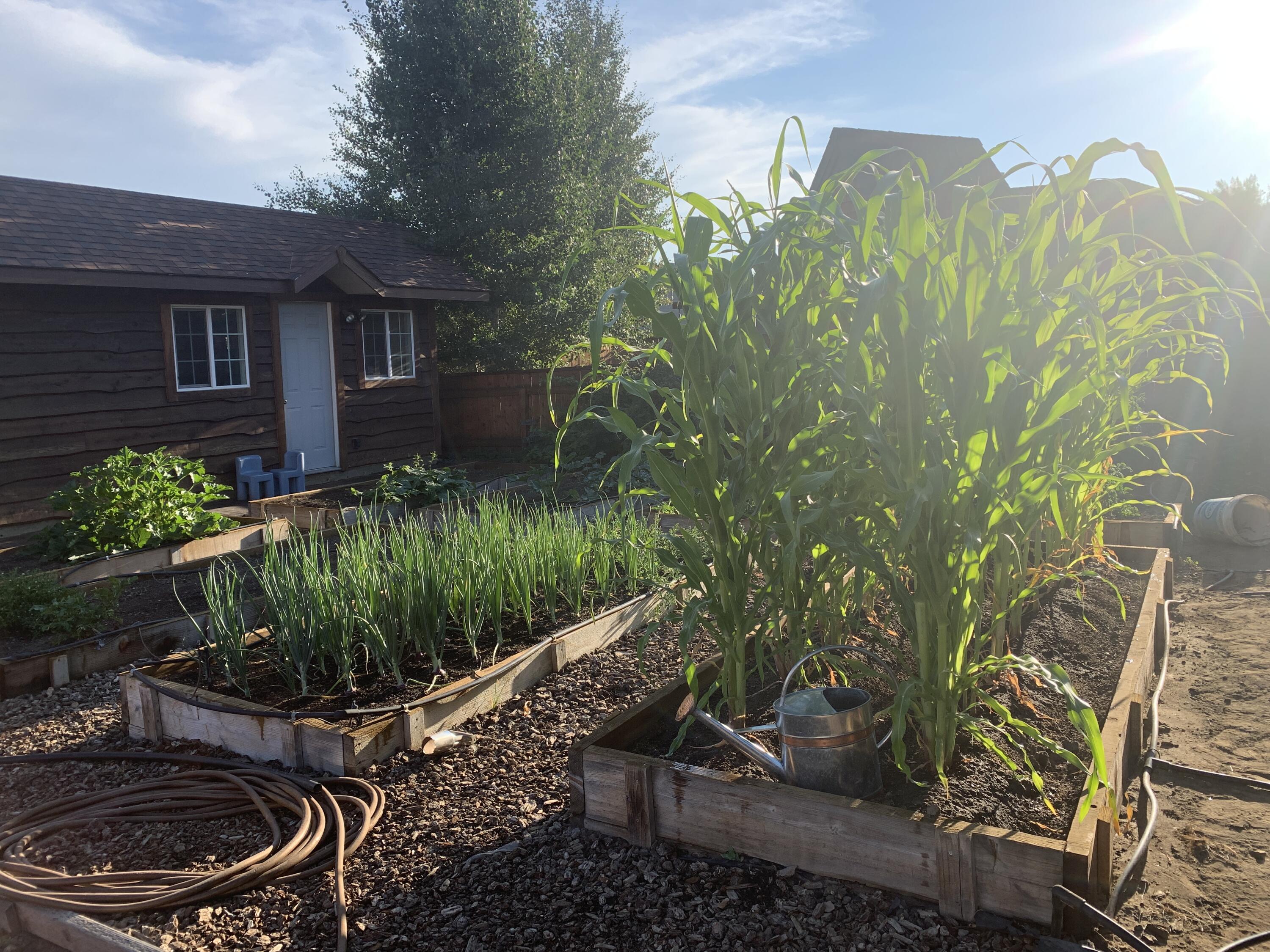 Klamath Meadows East - Residential