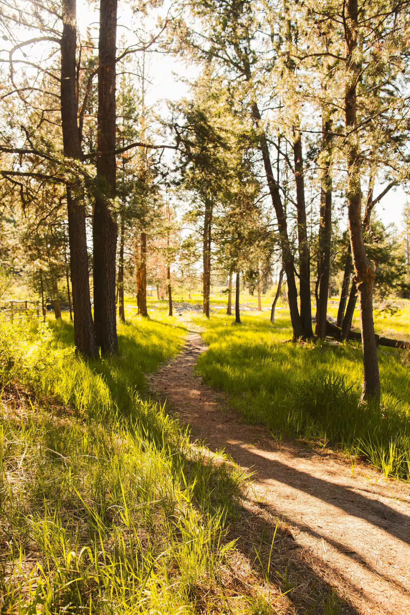 Lazy River South - Residential
