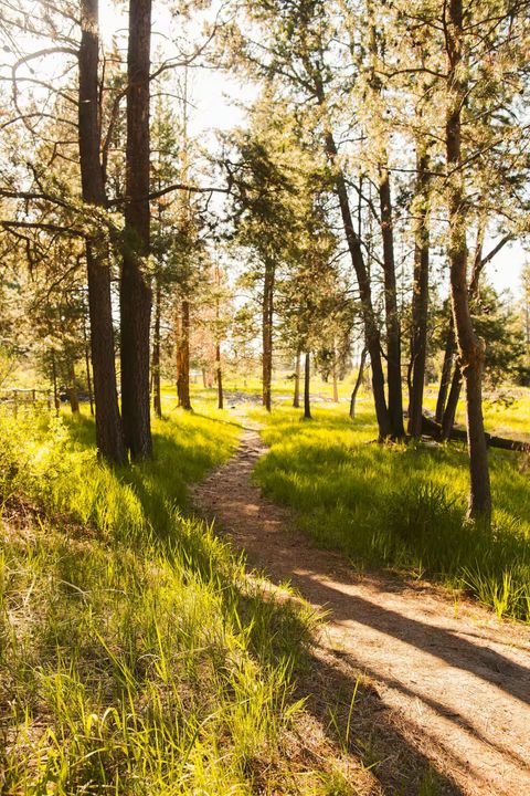 Tiny photo for 53345 Riverview Drive, La Pine, OR 97739 (MLS # 220203340)