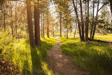 Tiny photo for 53345 Riverview Drive, La Pine, OR 97739 (MLS # 220203340)