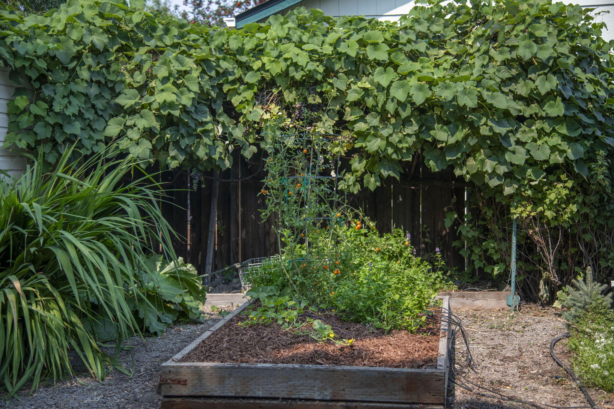 Red Bar Estates - Residential