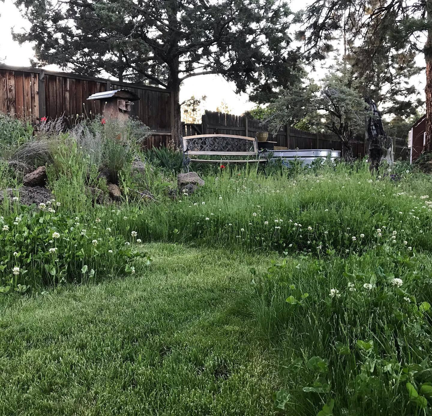 Desert Woods - Residential