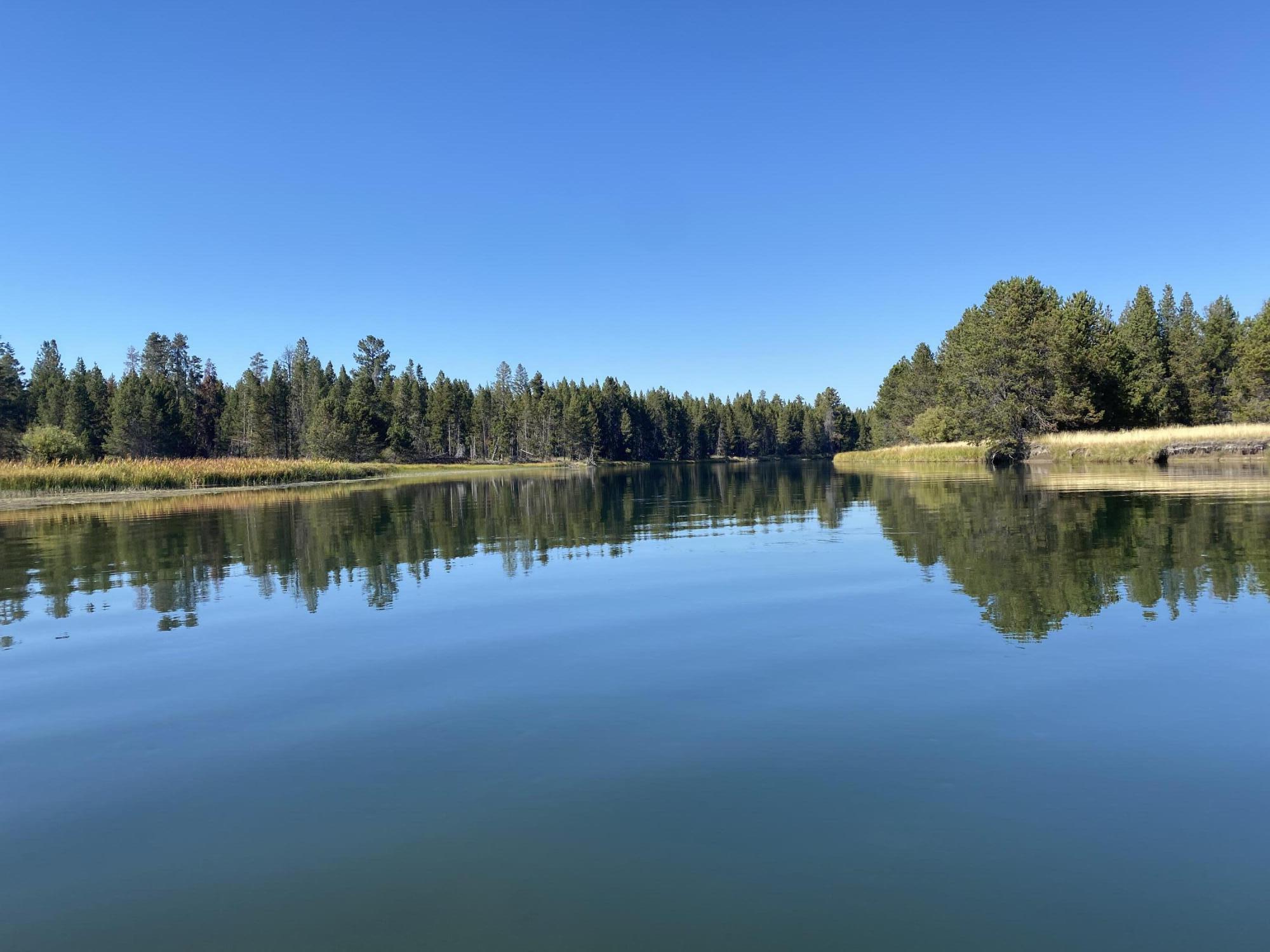 17181 Merganser Drive