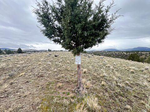 Tiny photo for 58392 Antelope Lane, John Day, OR 97845 (MLS # 220217113)