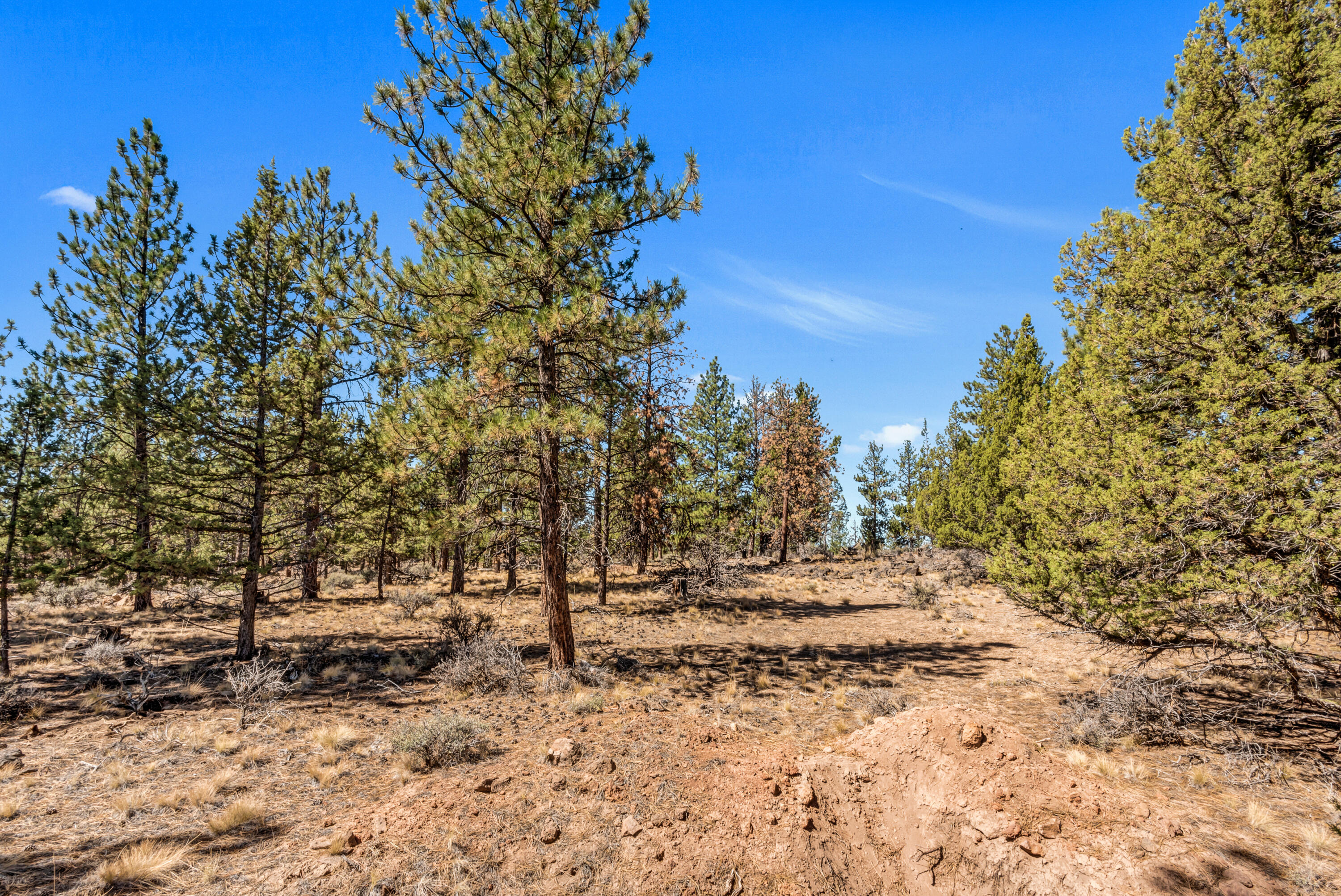 Skyline Ranch - Land