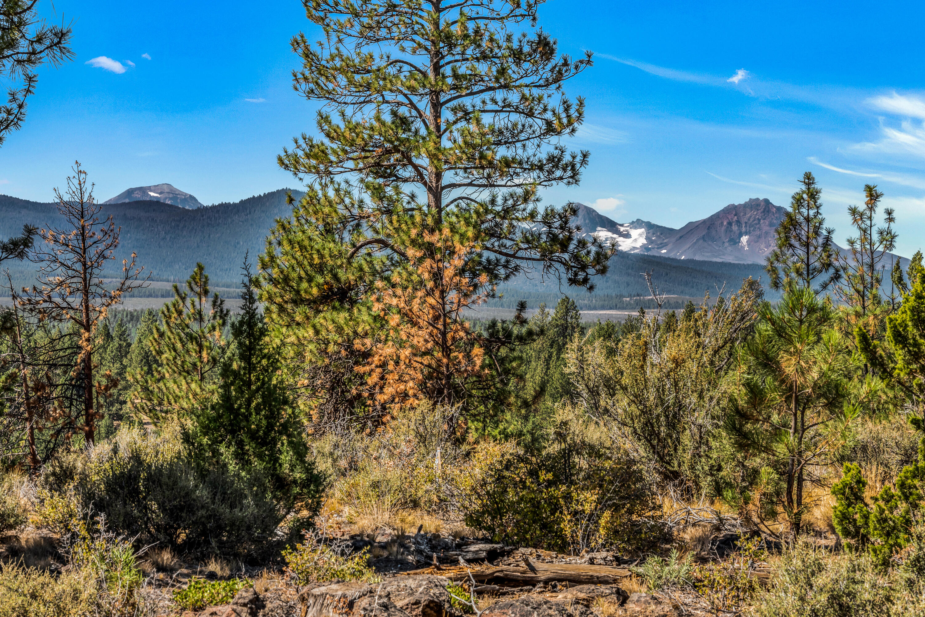 Skyline Ranch - Land