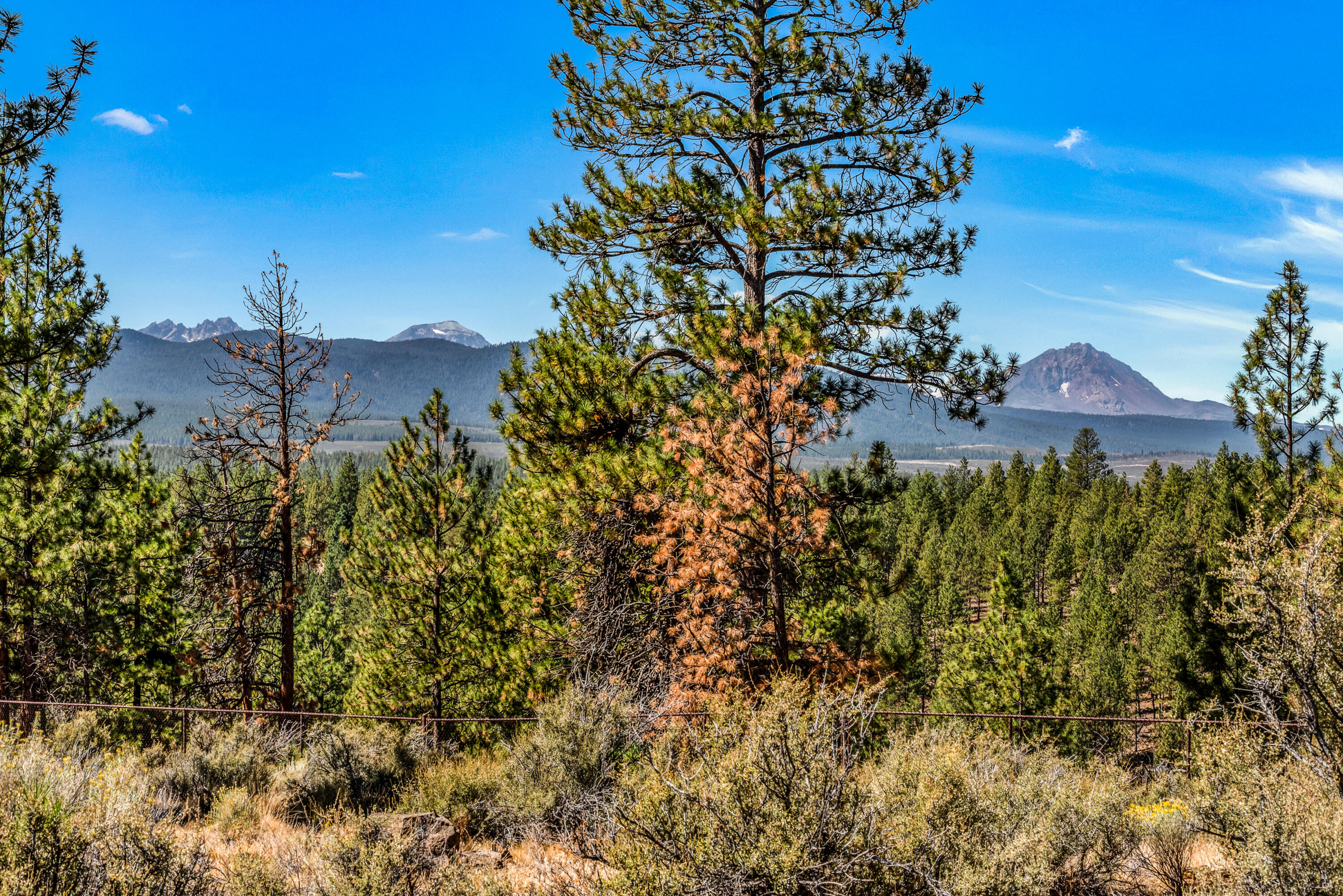 Skyline Ranch - Land