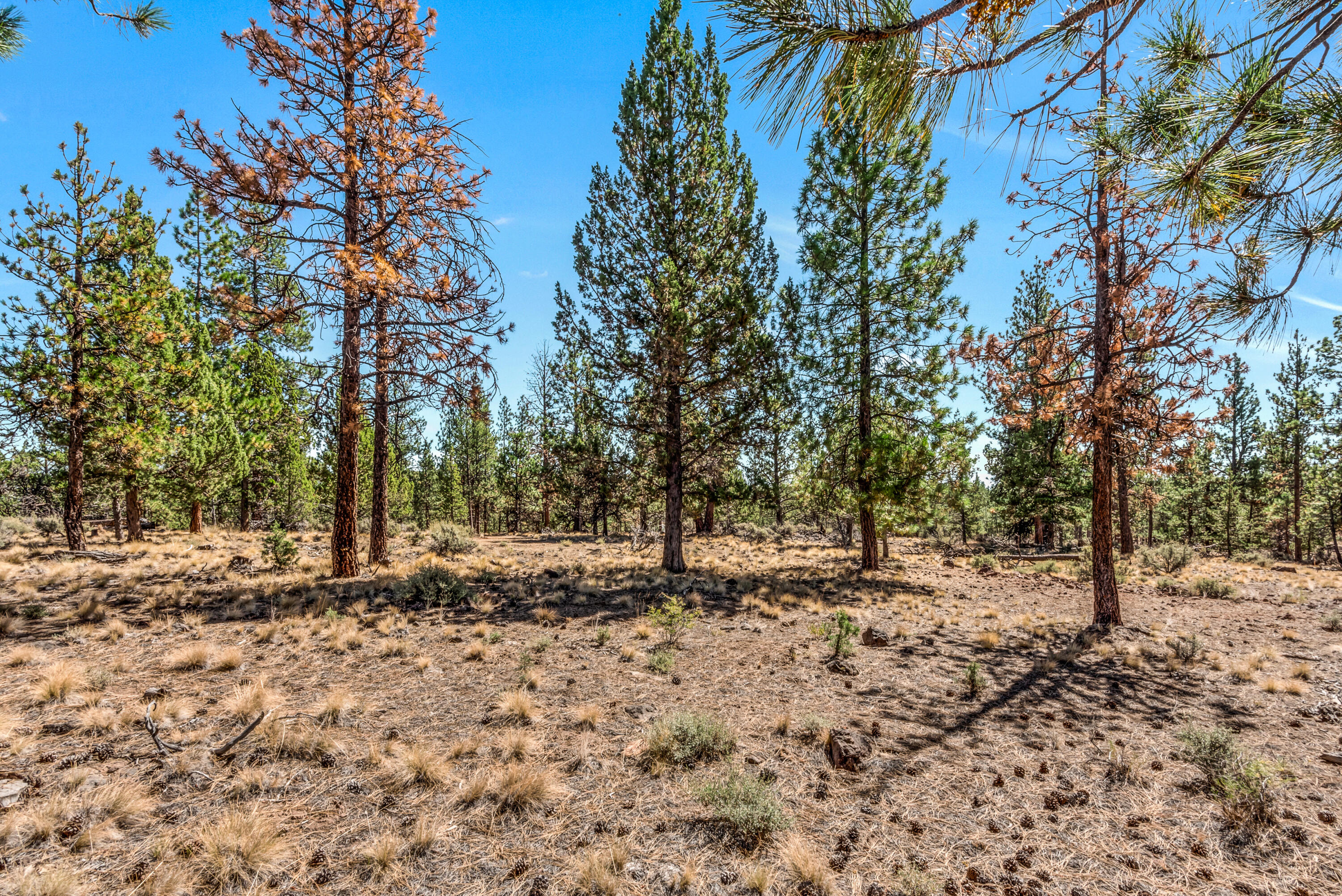 Skyline Ranch - Land