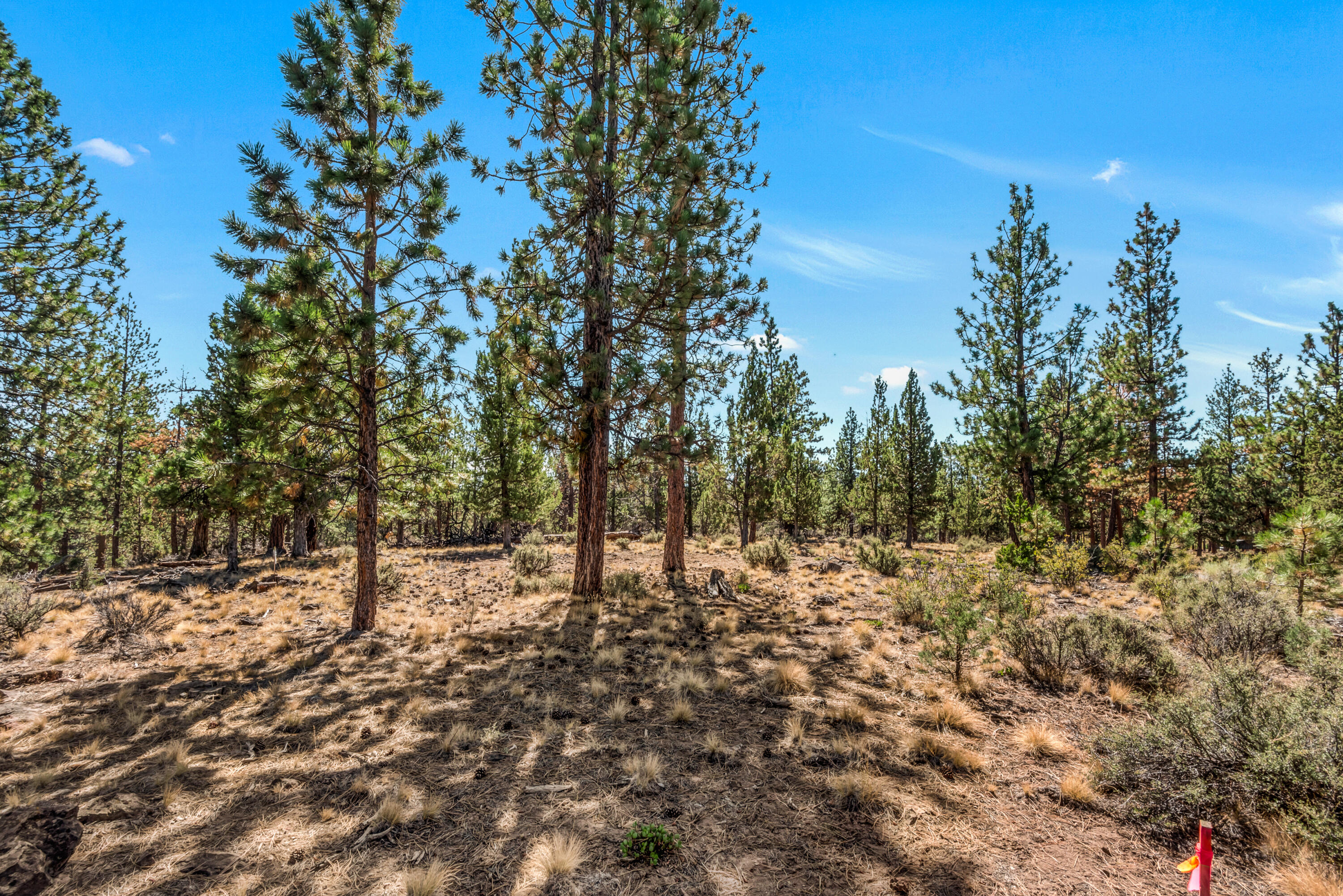 Skyline Ranch - Land