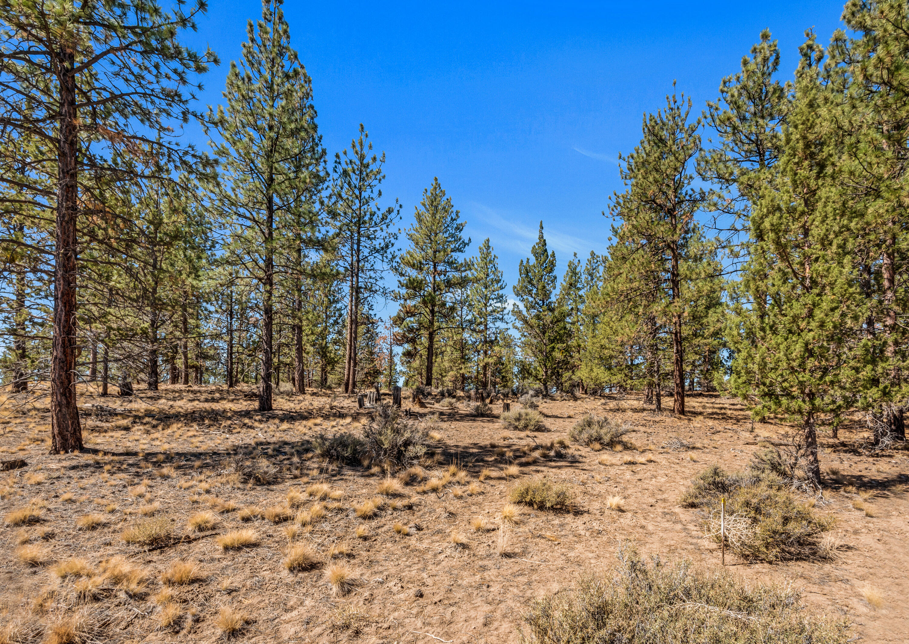 Skyline Ranch - Land