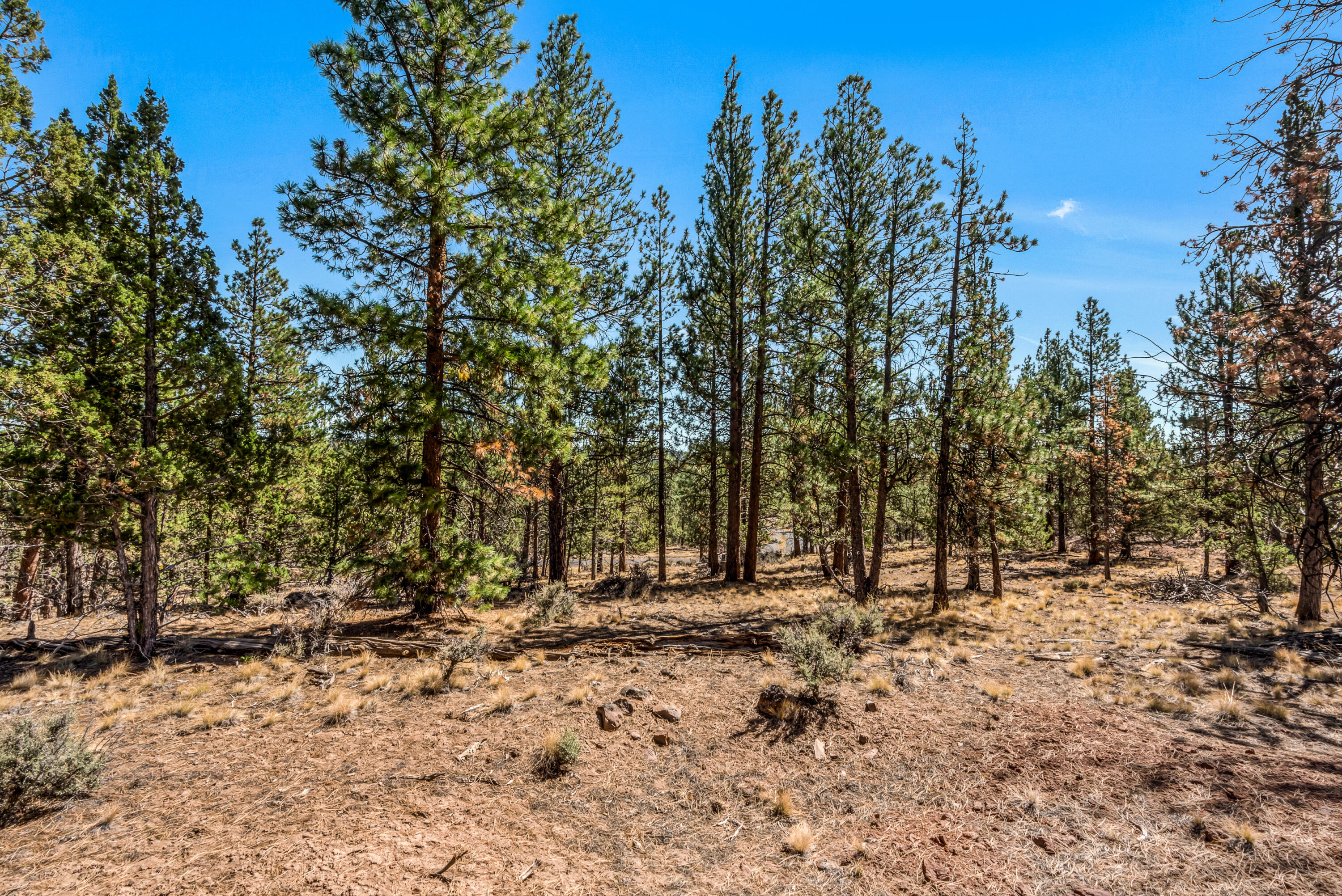 Skyline Ranch - Land