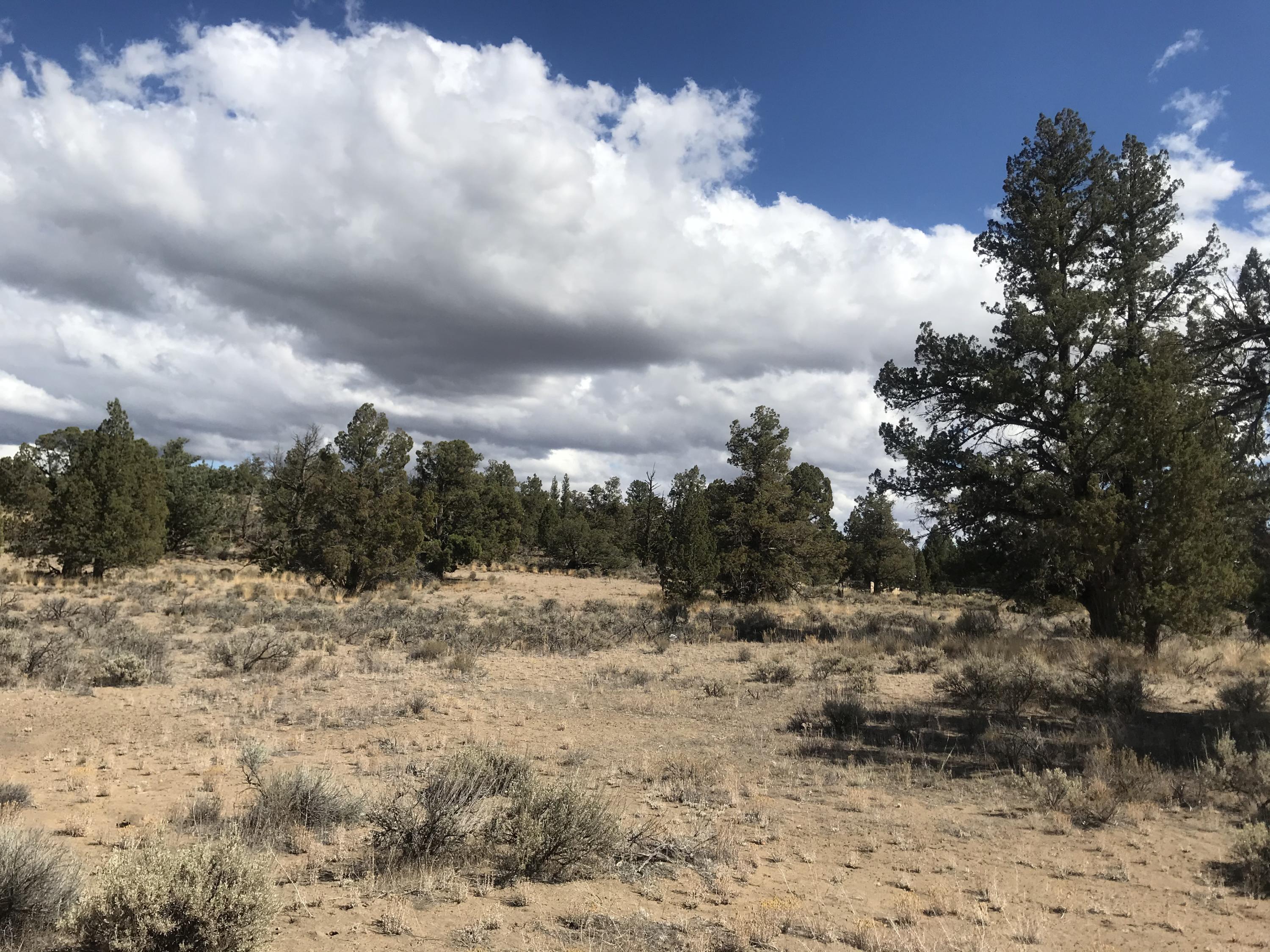 Bend Cascade View - Land