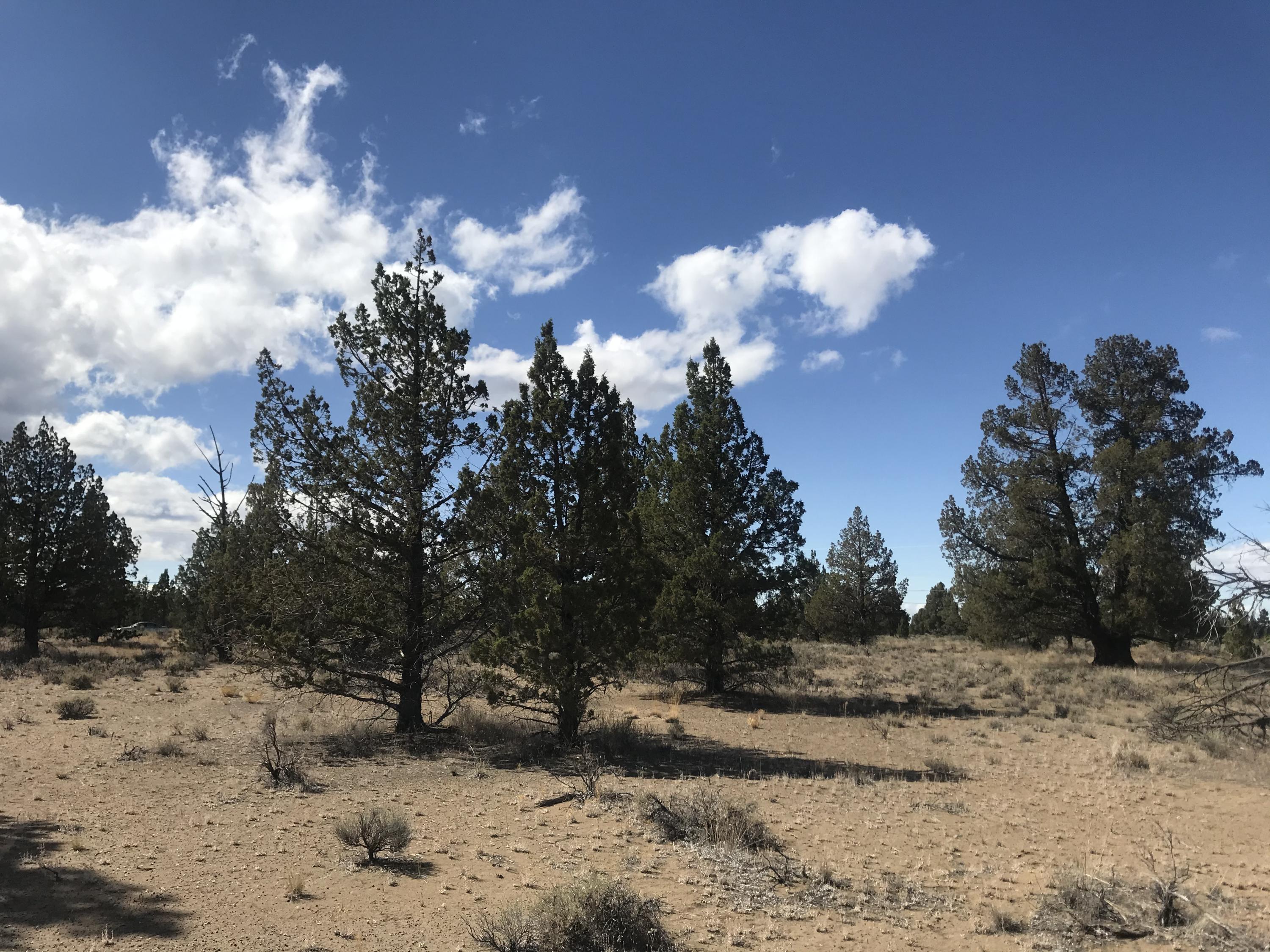 Bend Cascade View - Land