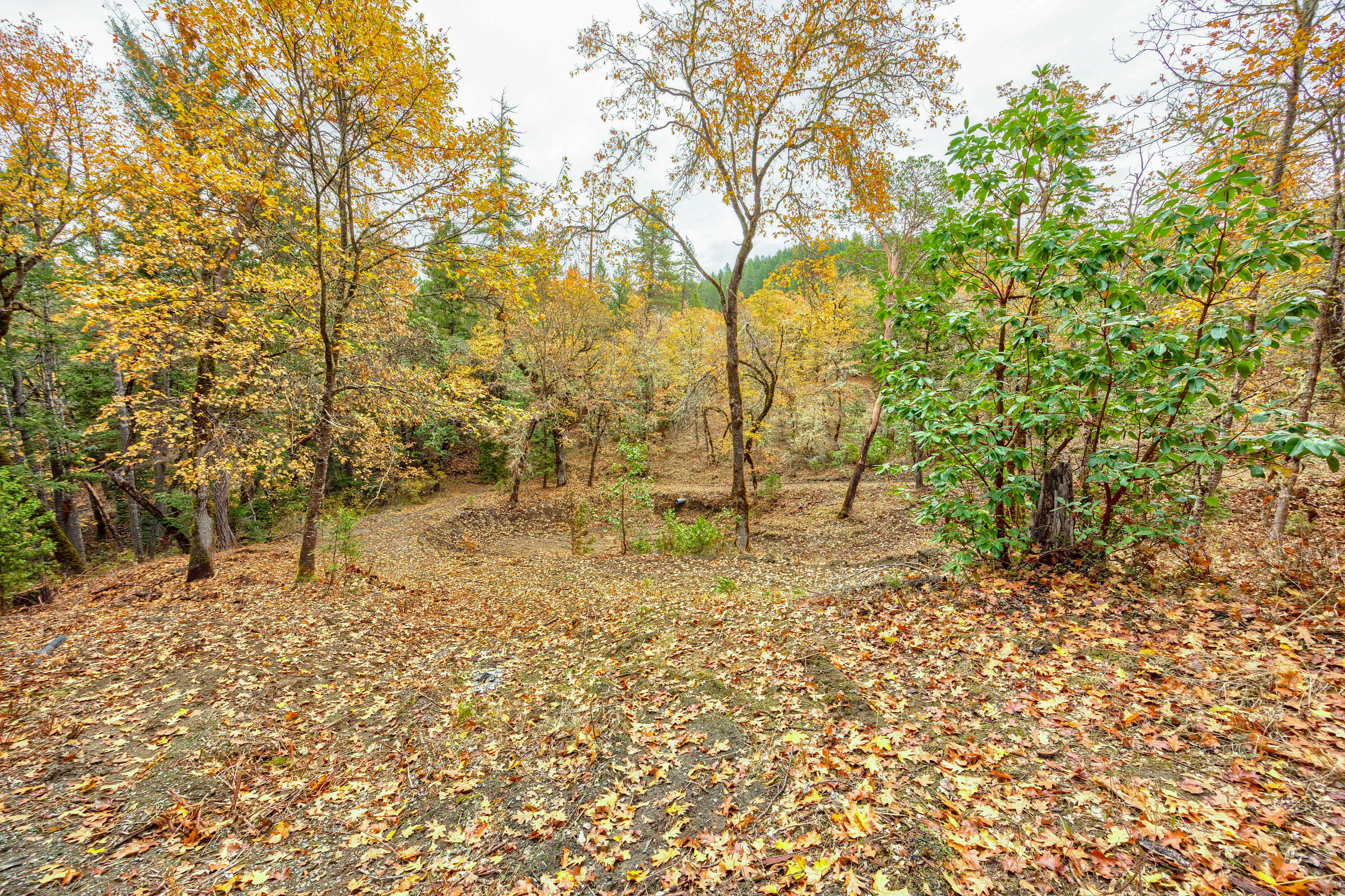 Shadow Hills Estates Subdivision - Residential