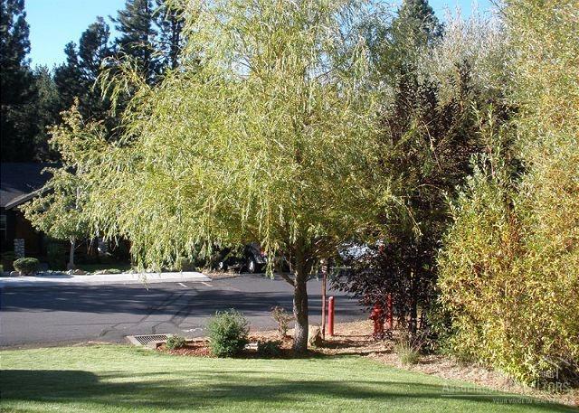 Cascade Village - Residential