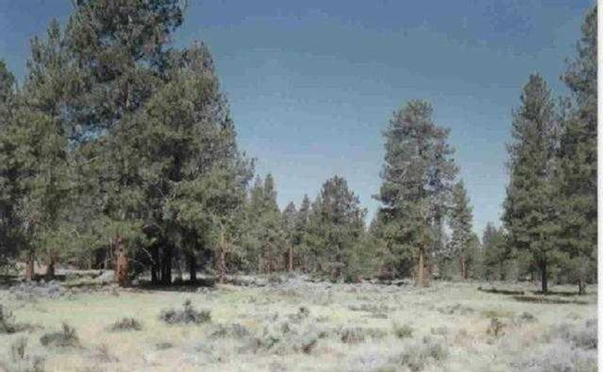 Rural Parcel With Power And Pavement Nearby.