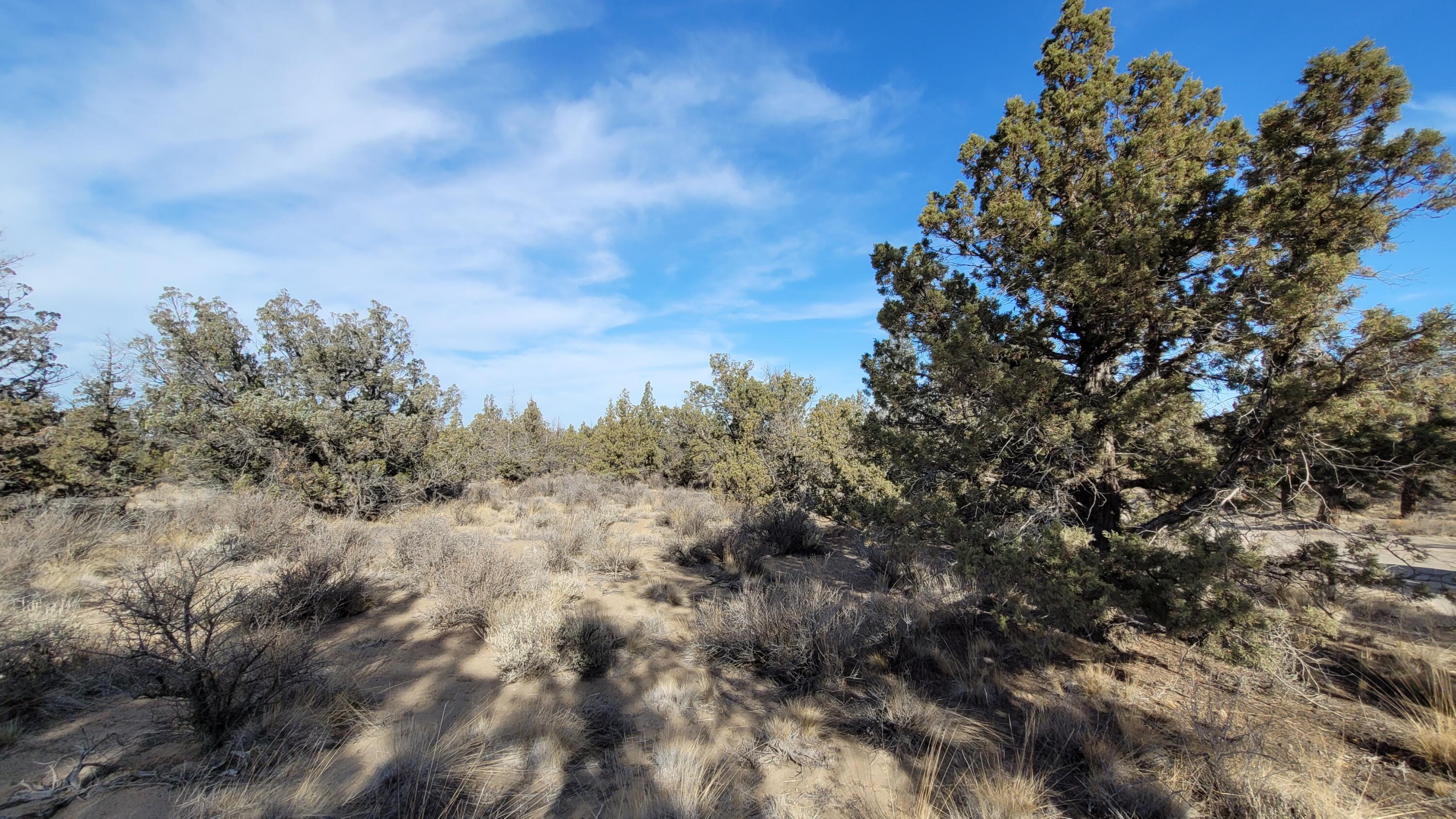 Juniper Acres - Land