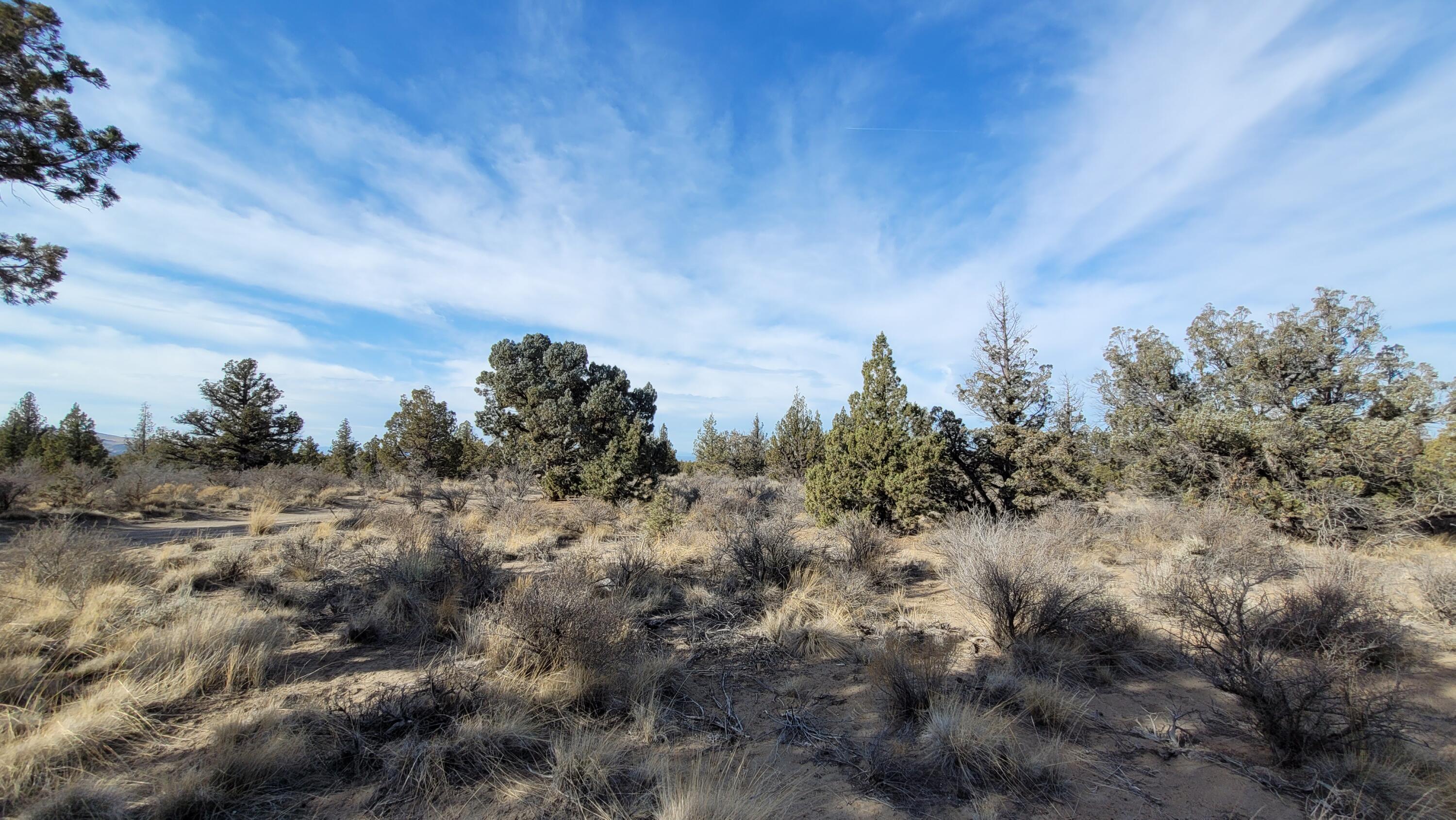 Juniper Acres - Land