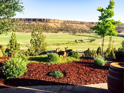 Tiny photo for 3900 SE Riverview Road, Prineville, OR 97754 (MLS # 220221310)