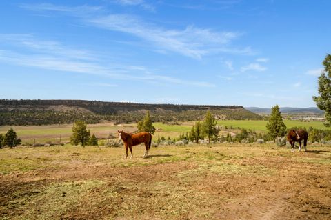 Tiny photo for 3900 SE Riverview Road, Prineville, OR 97754 (MLS # 220221310)