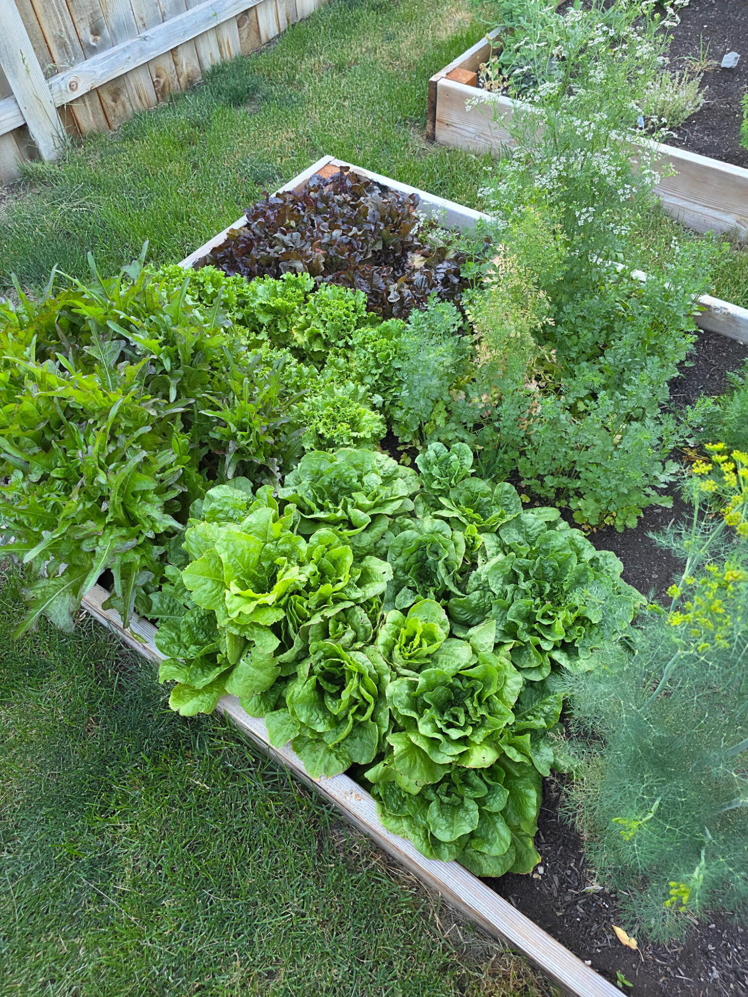 Collins - Residential