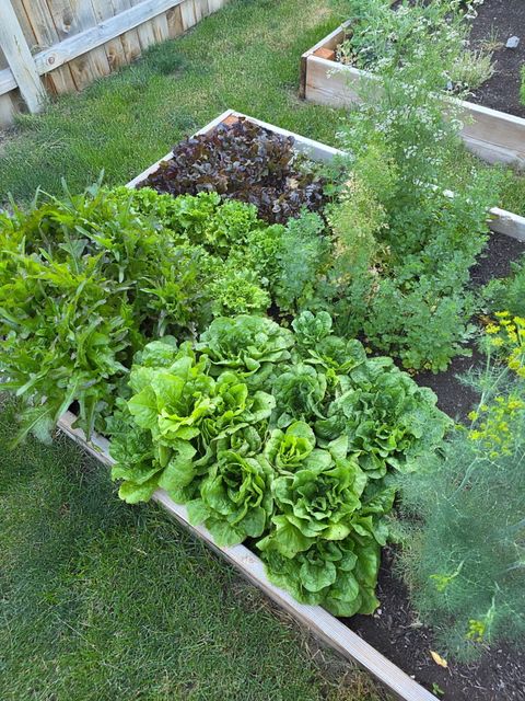 Tiny photo for 533 NW 7th Street, Redmond, OR 97756 (MLS # 220212815)