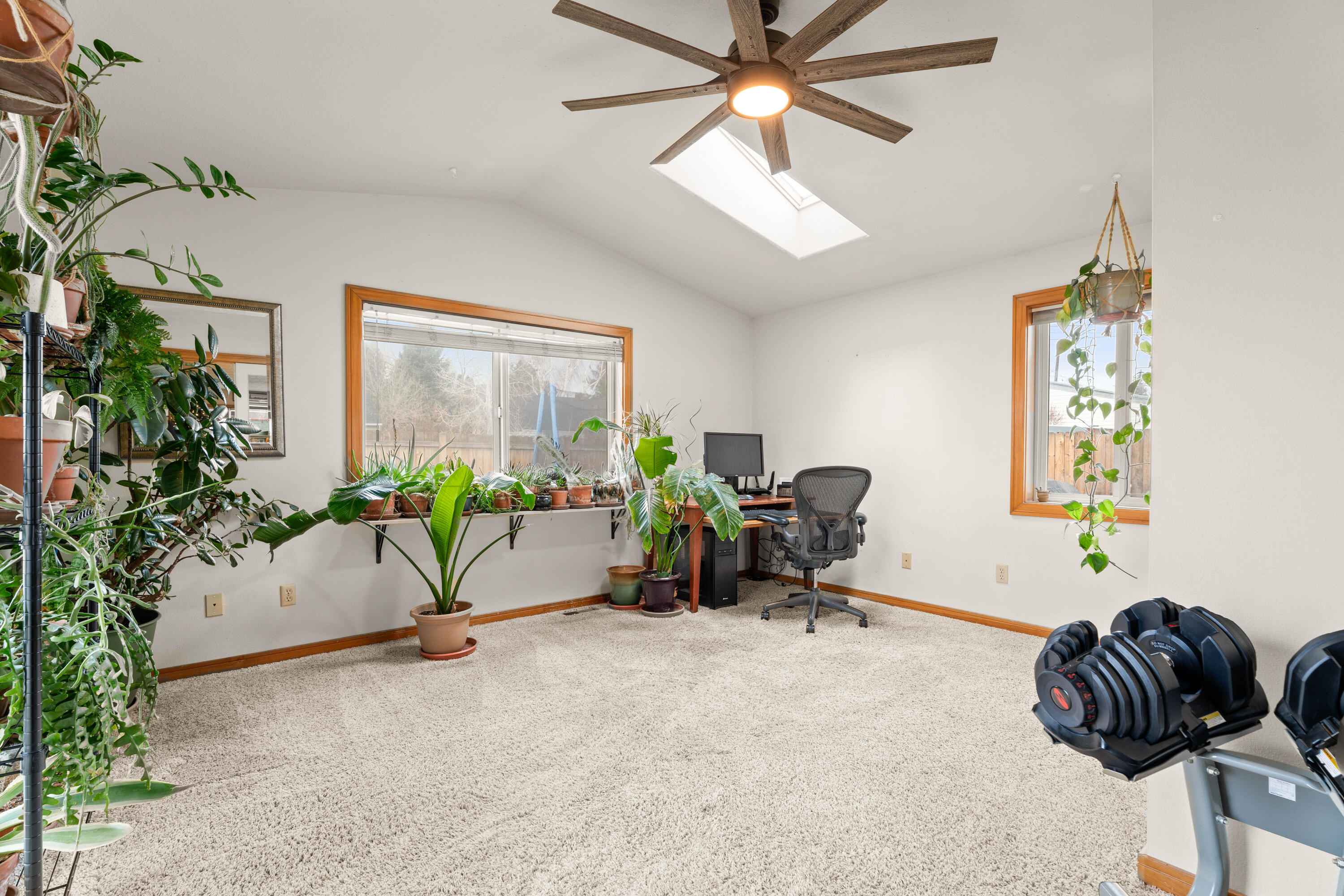 Collins - Residential