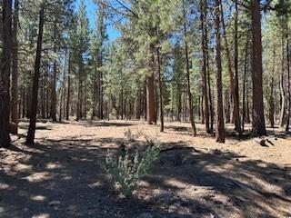 Klamath Falls Forest Estates -Hwy 66 Unit -Plat No. 1 - Land