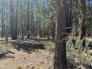 Klamath Falls Forest Estates -Hwy 66 Unit -Plat No. 1 - Land
