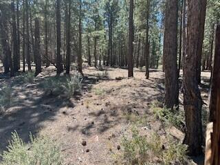 Klamath Falls Forest Estates -Hwy 66 Unit -Plat No. 1 - Land