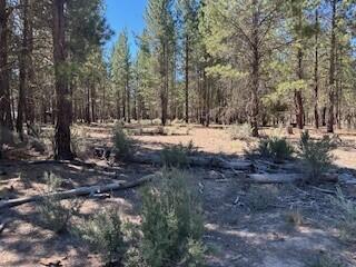 Klamath Falls Forest Estates -Hwy 66 Unit -Plat No. 1 - Land