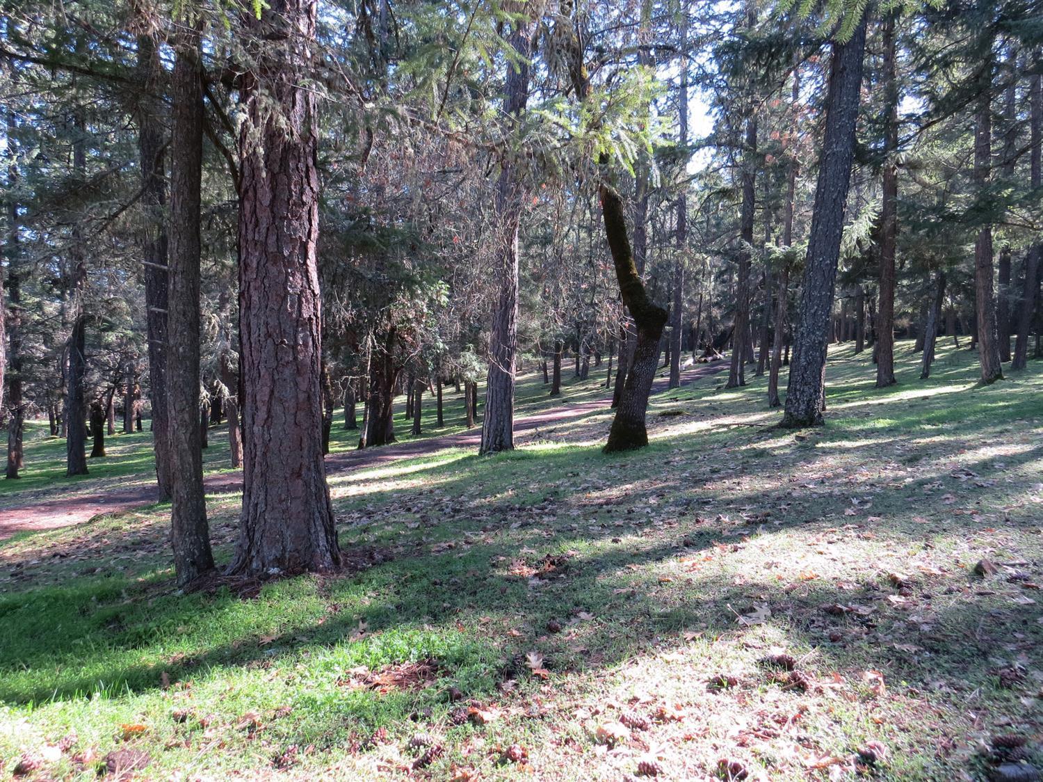 N Pilot Butte - Land