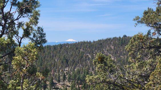 1315 NE Lofton Creek Road