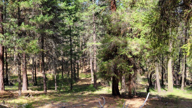 1315 NE Lofton Creek Road