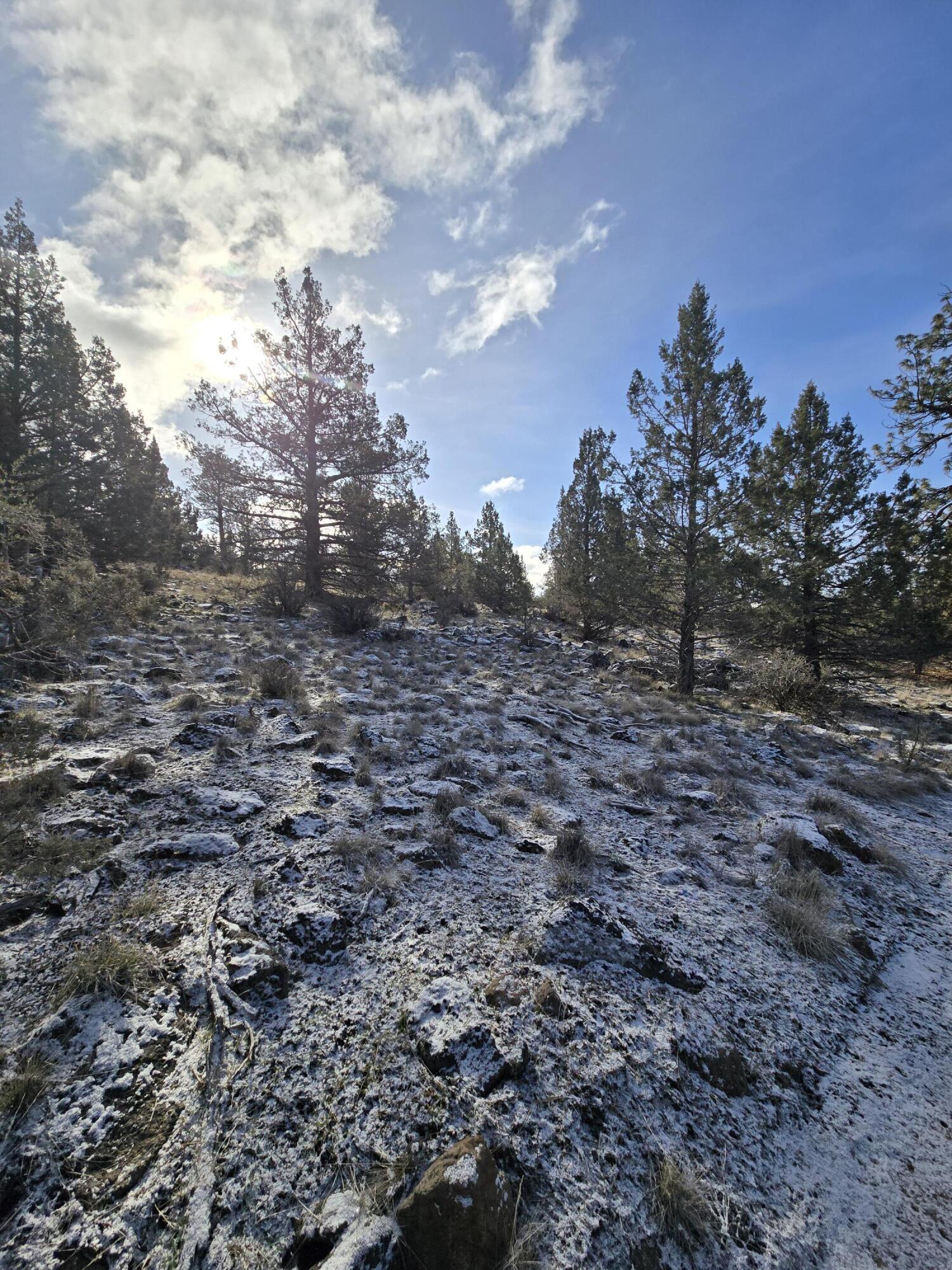 Klamath Falls Forest Estates -Hwy 66 Unit -Plat No. 2 - Land