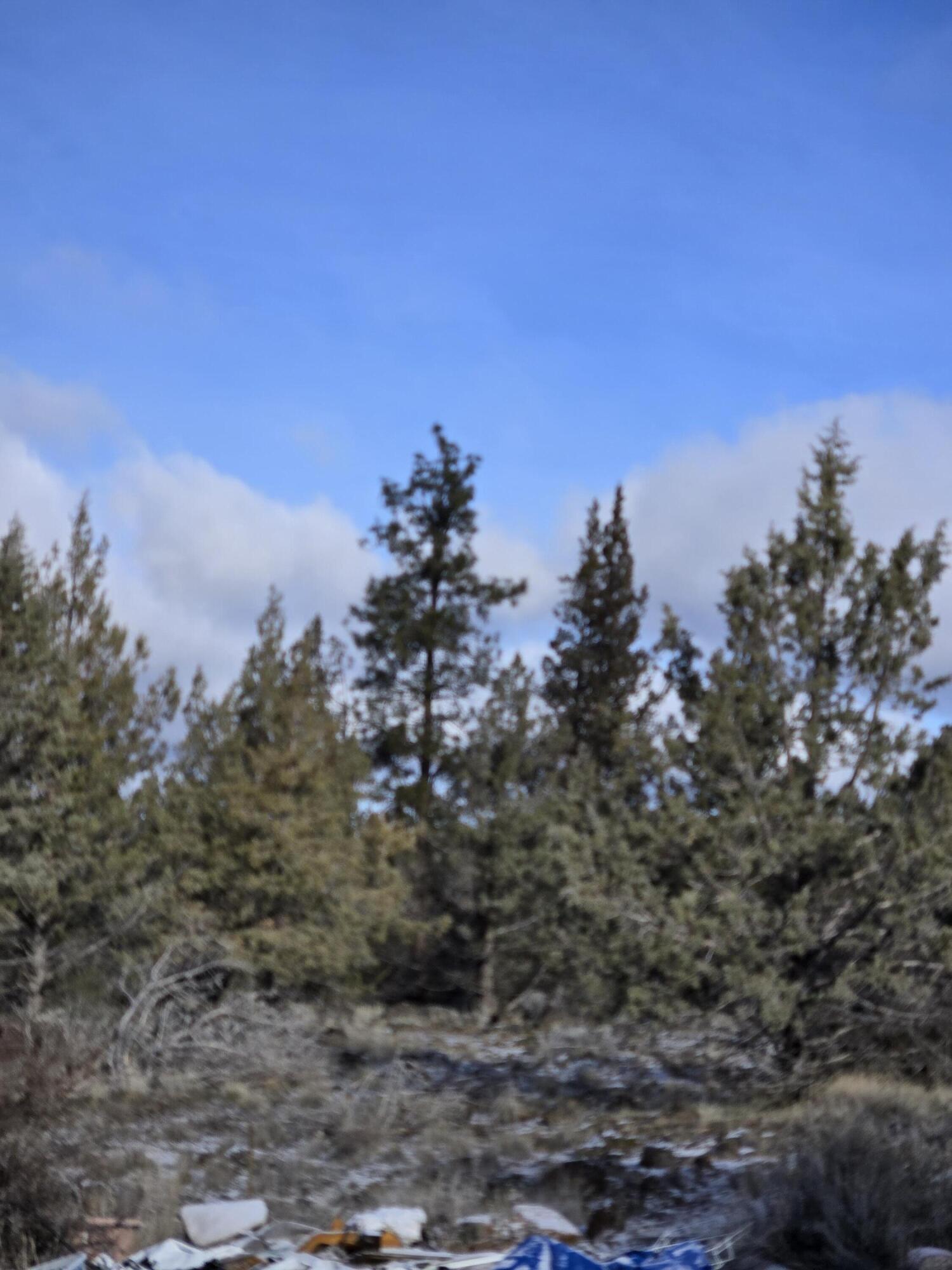 Klamath Falls Forest Estates -Hwy 66 Unit -Plat No. 2 - Land