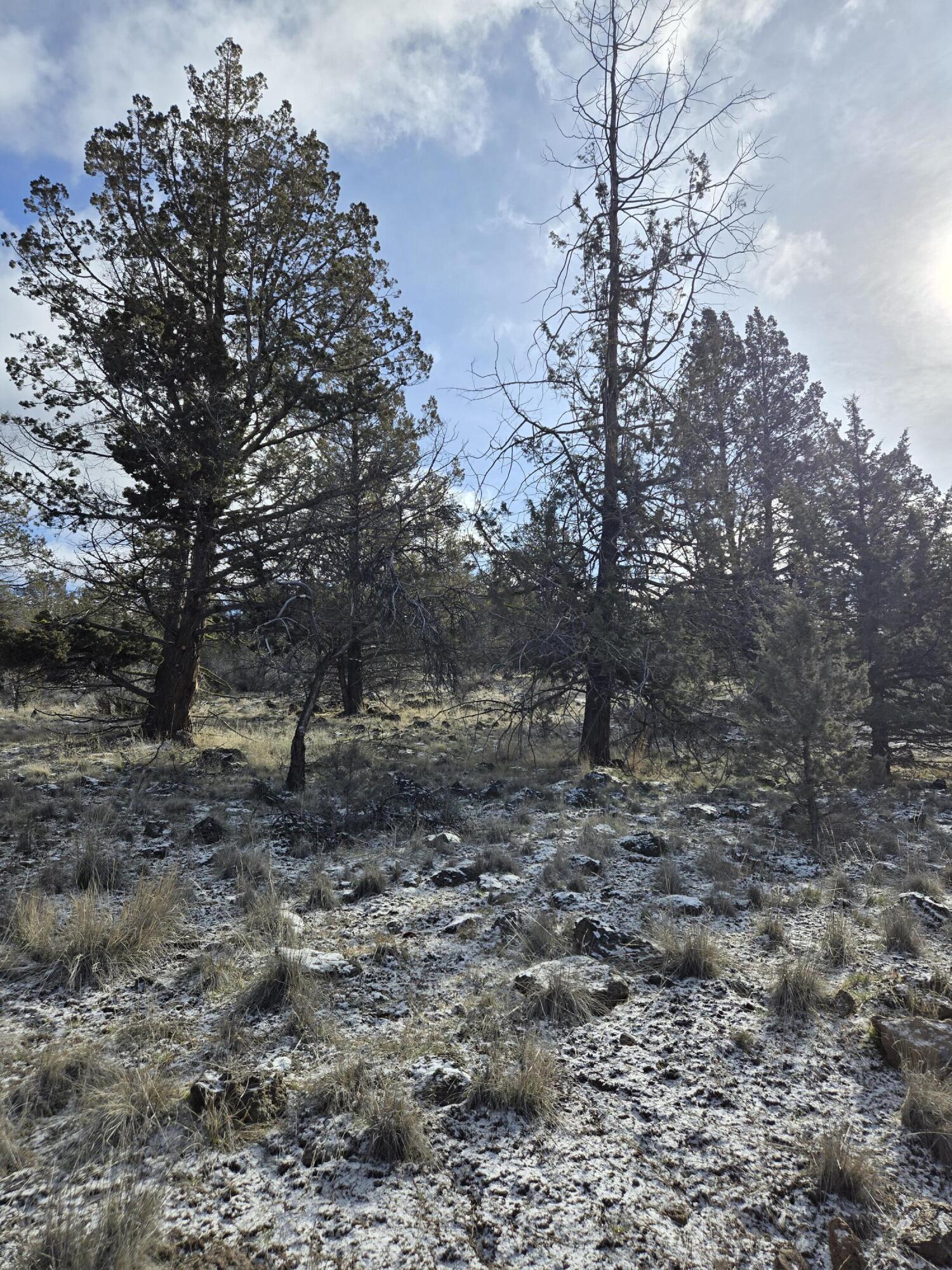 Klamath Falls Forest Estates -Hwy 66 Unit -Plat No. 2 - Land