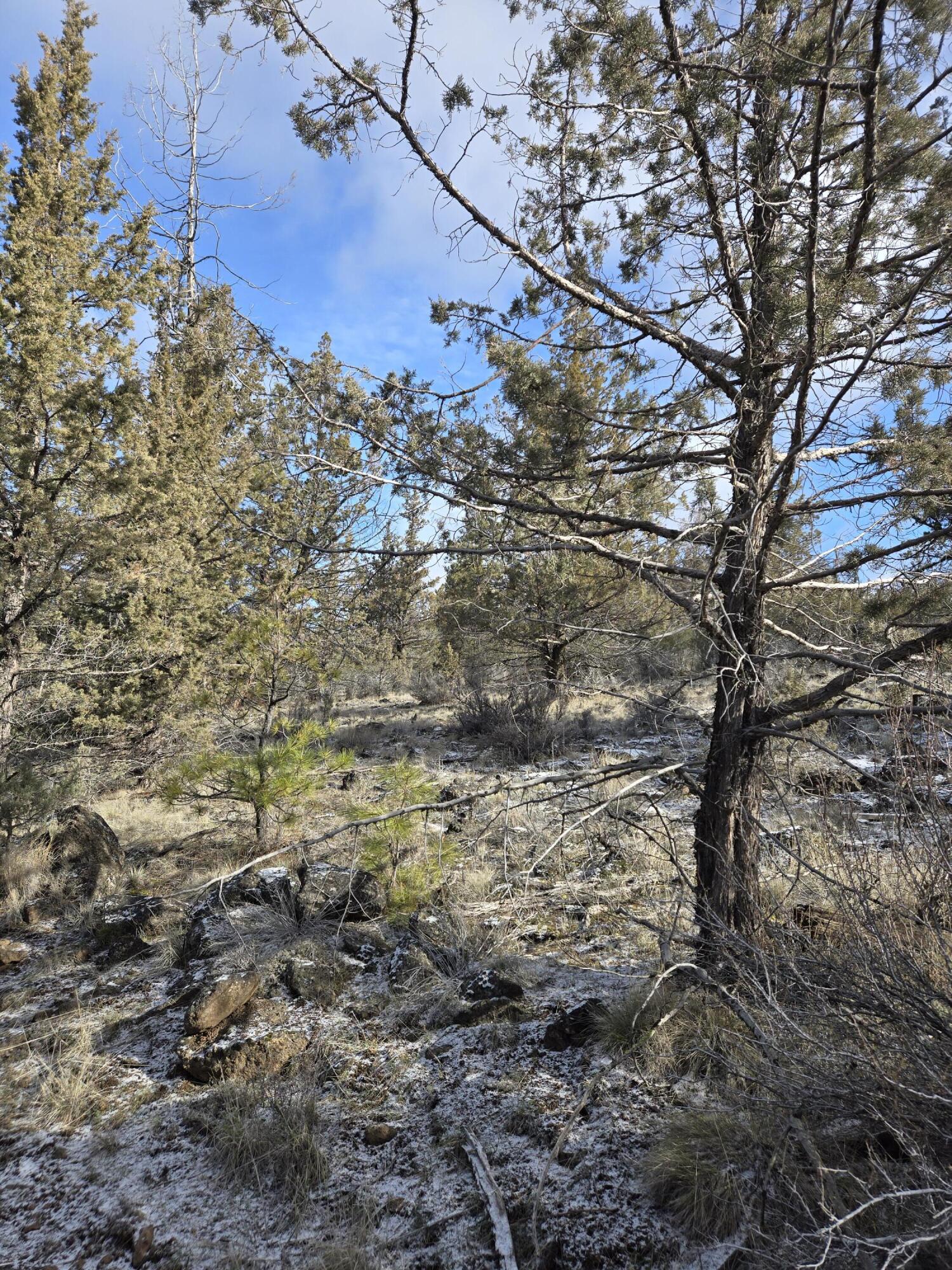 Klamath Falls Forest Estates -Hwy 66 Unit -Plat No. 2 - Land