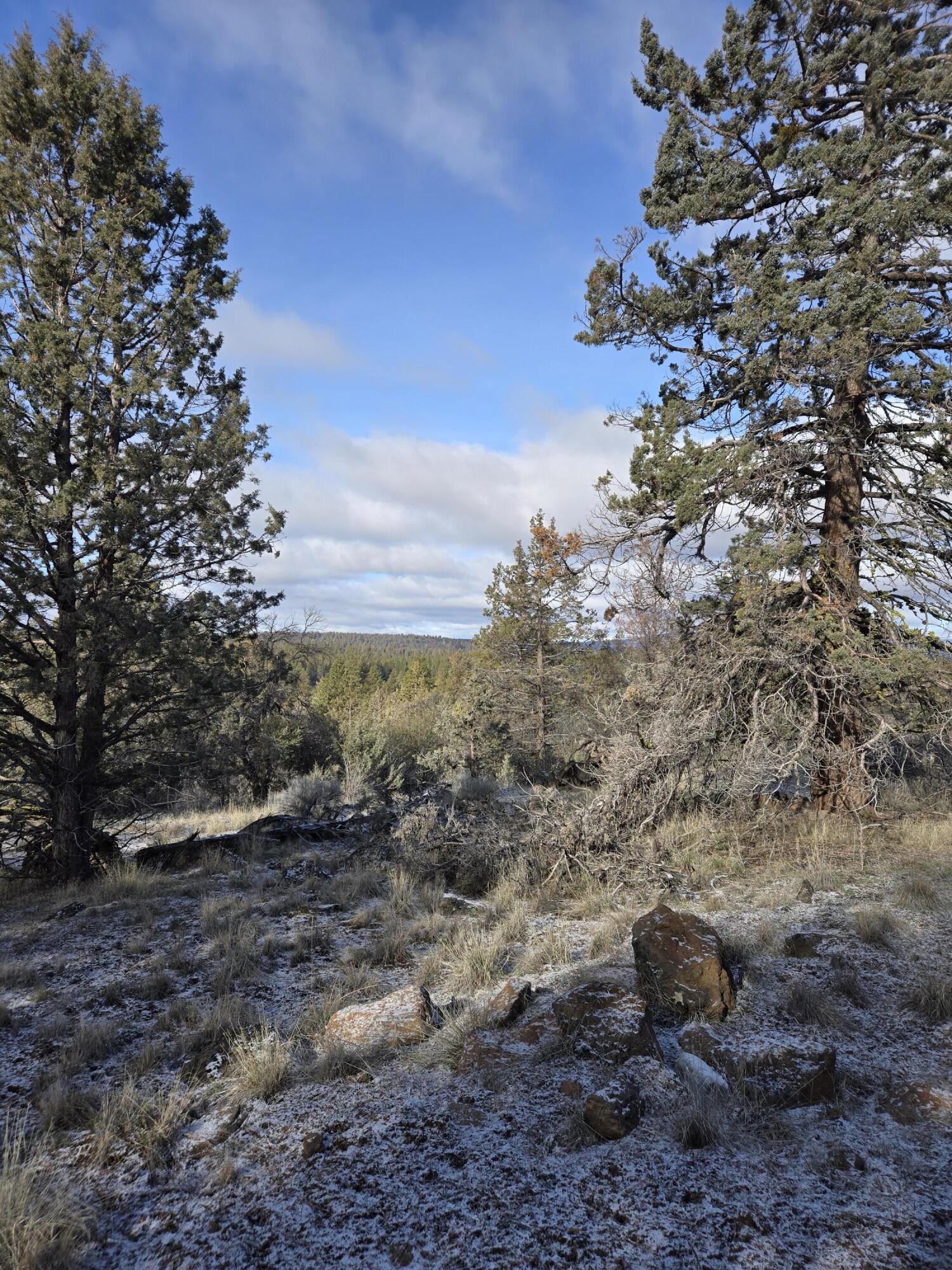 Klamath Falls Forest Estates -Hwy 66 Unit -Plat No. 2 - Land