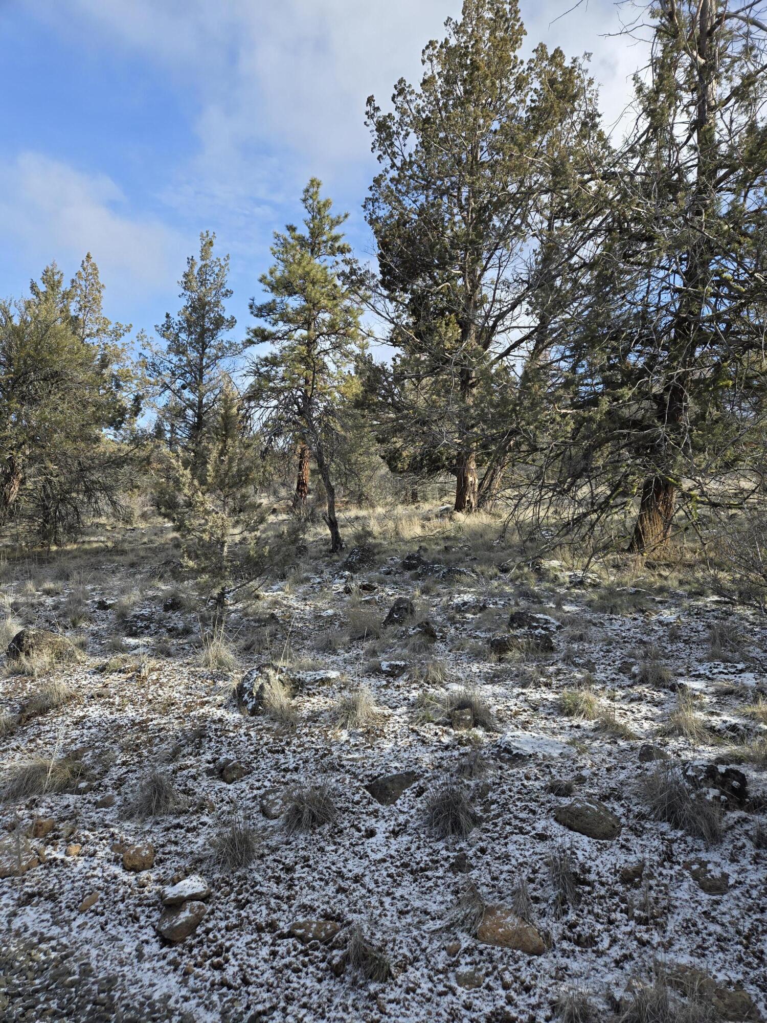 Klamath Falls Forest Estates -Hwy 66 Unit -Plat No. 2 - Land