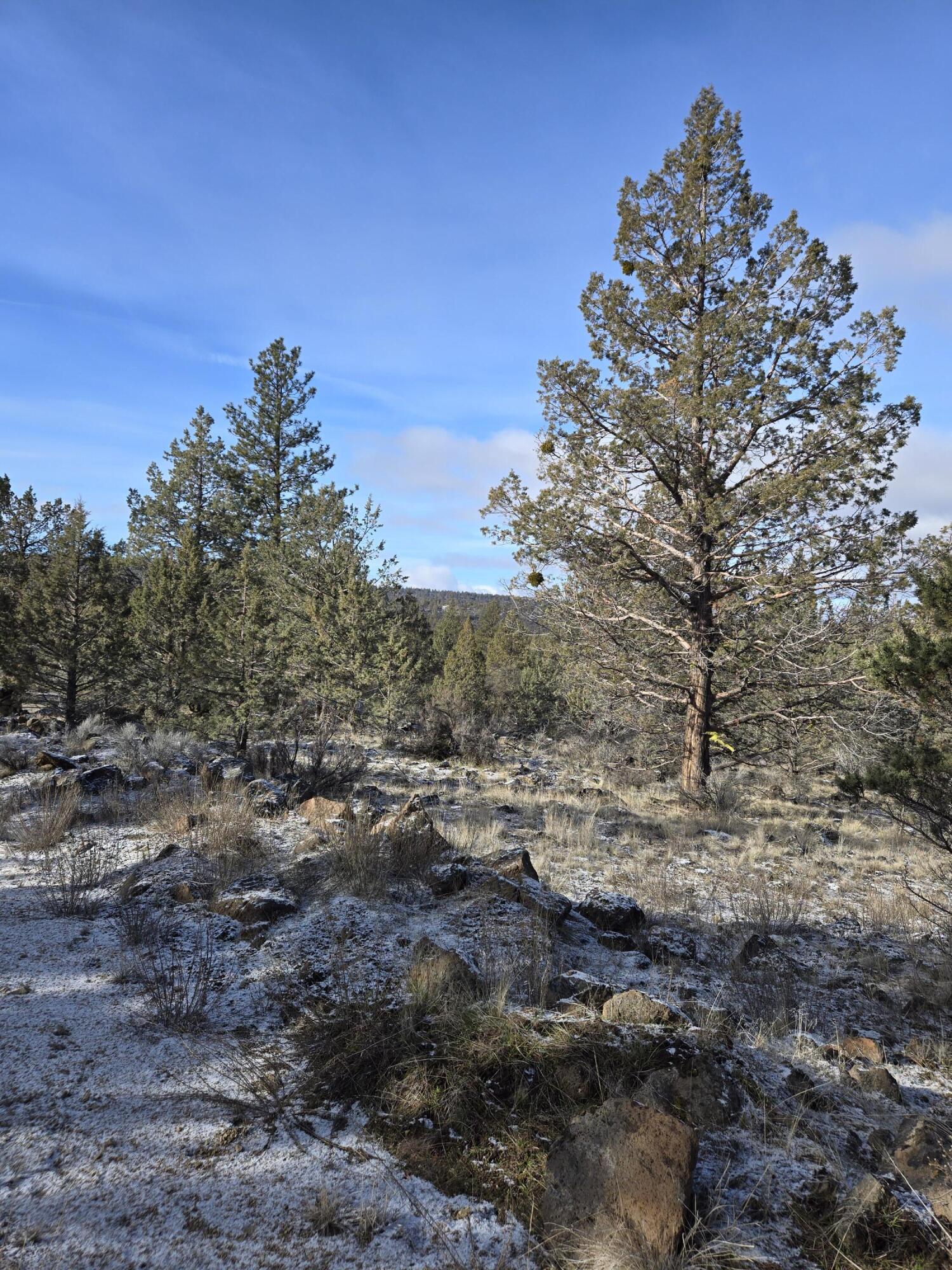 Klamath Falls Forest Estates -Hwy 66 Unit -Plat No. 2 - Land