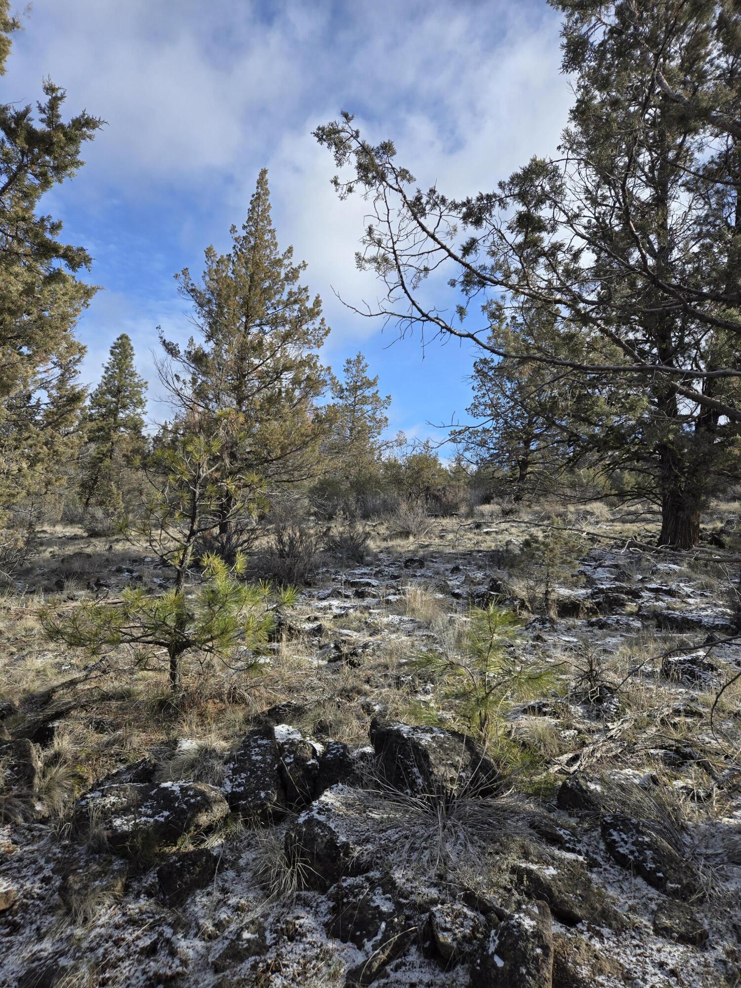 Klamath Falls Forest Estates -Hwy 66 Unit -Plat No. 2 - Land