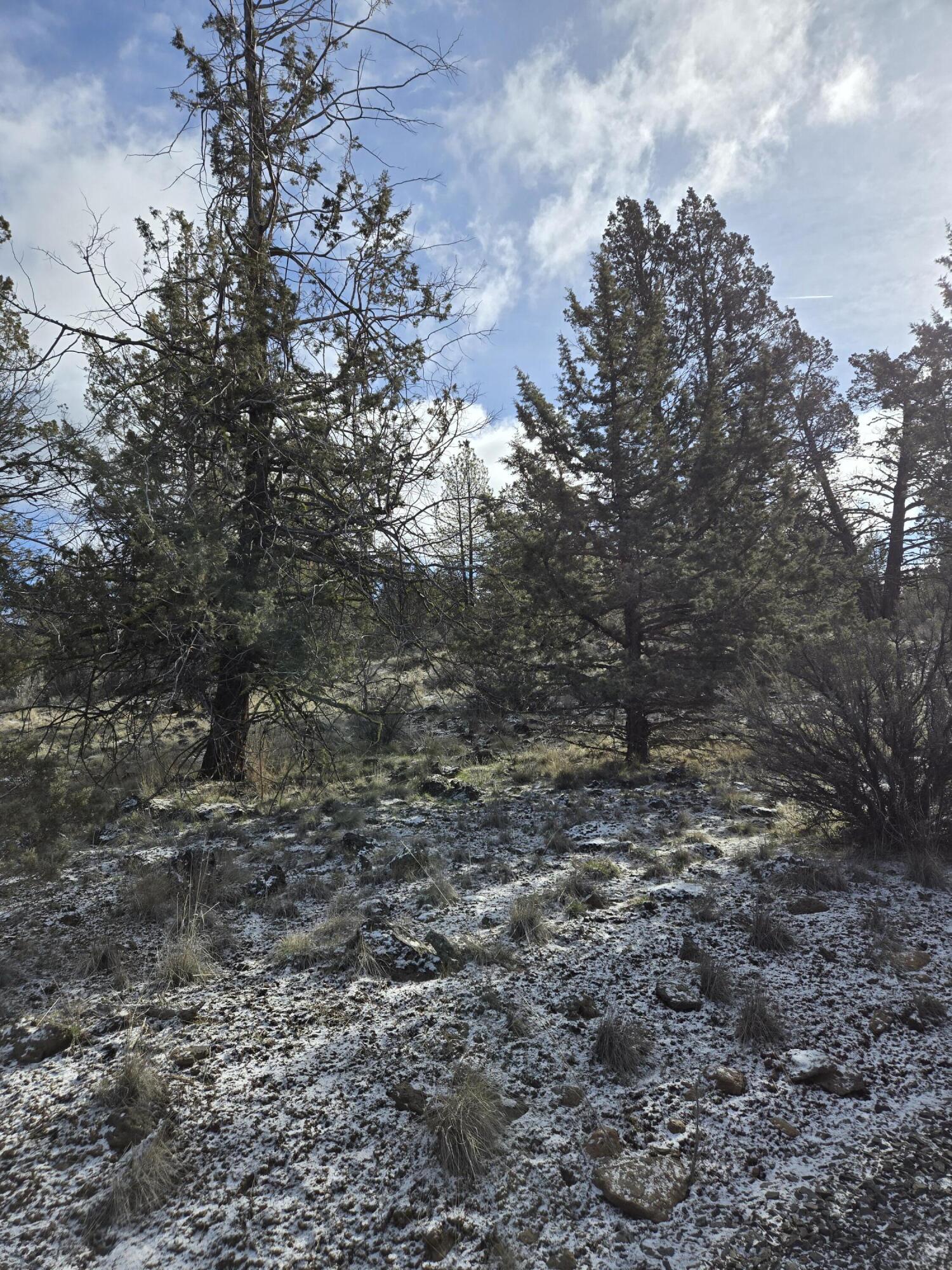 Klamath Falls Forest Estates -Hwy 66 Unit -Plat No. 2 - Land