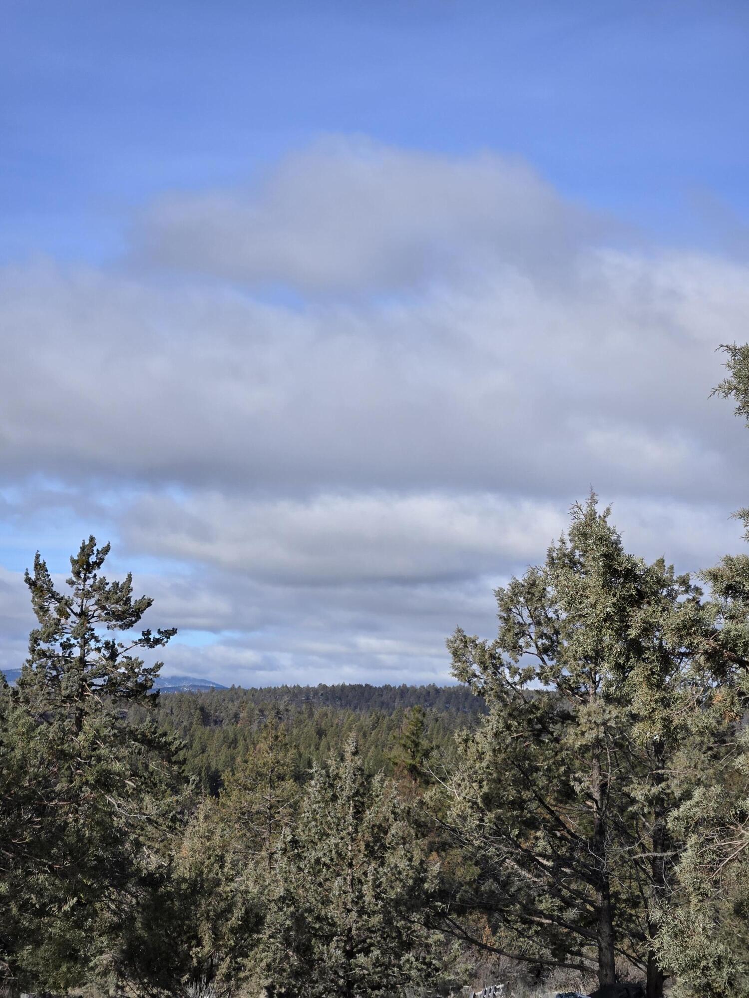 Klamath Falls Forest Estates -Hwy 66 Unit -Plat No. 2 - Land