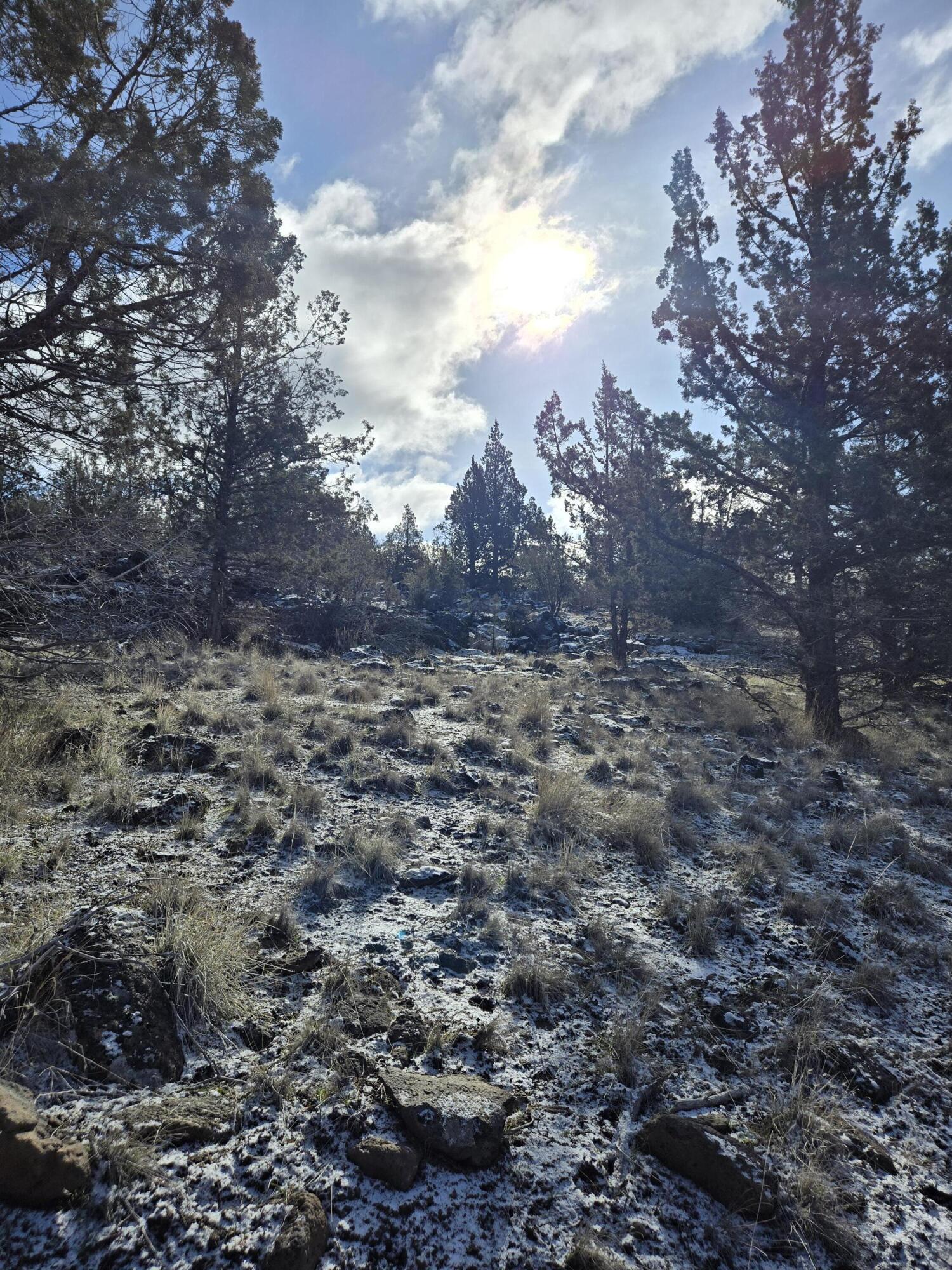 Klamath Falls Forest Estates -Hwy 66 Unit -Plat No. 2 - Land