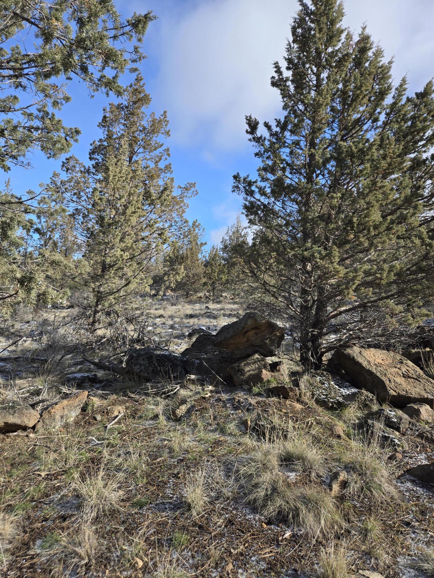 Klamath Falls Forest Estates -Hwy 66 Unit -Plat No. 2 - Land