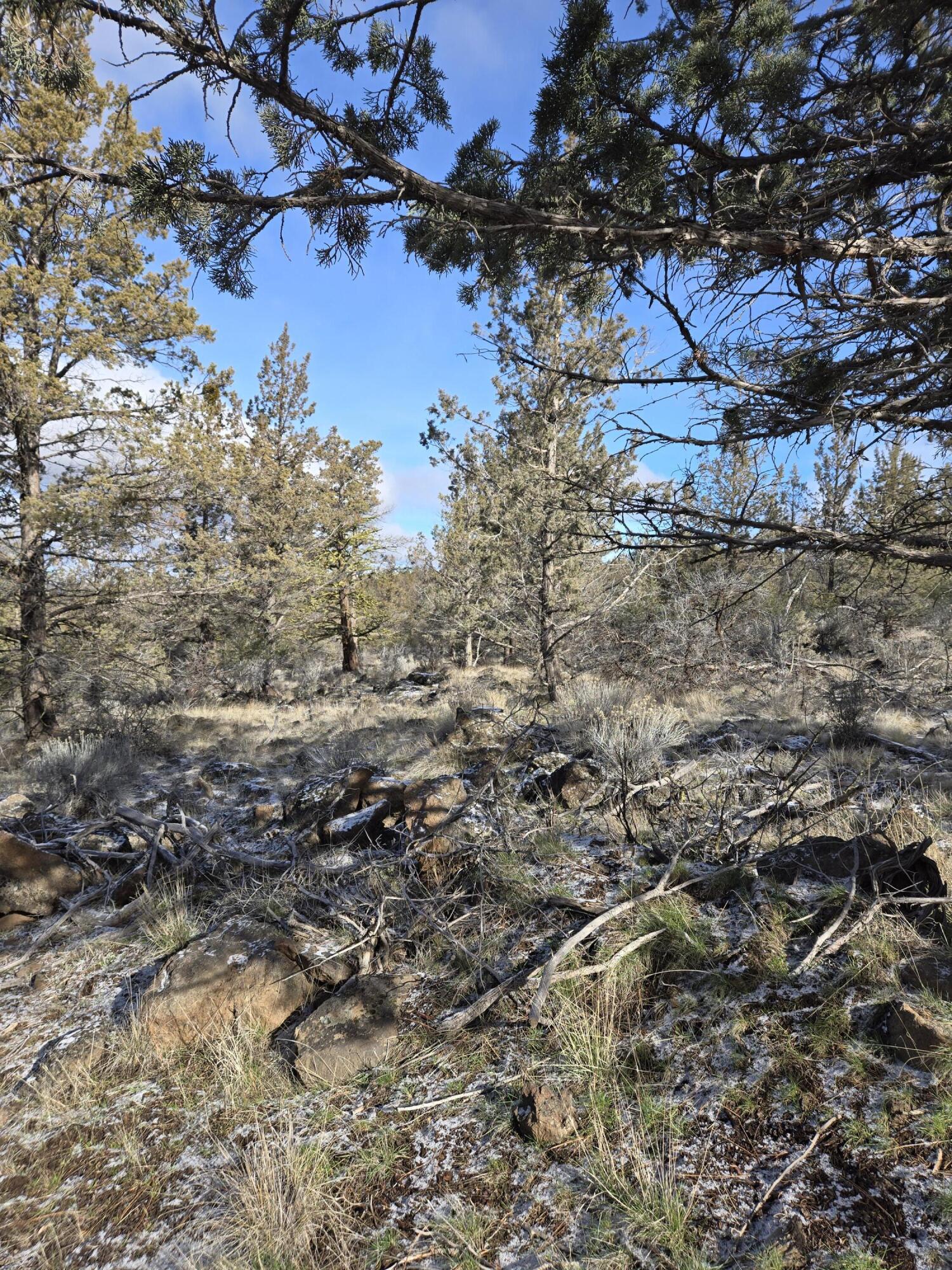 Klamath Falls Forest Estates -Hwy 66 Unit -Plat No. 2 - Land