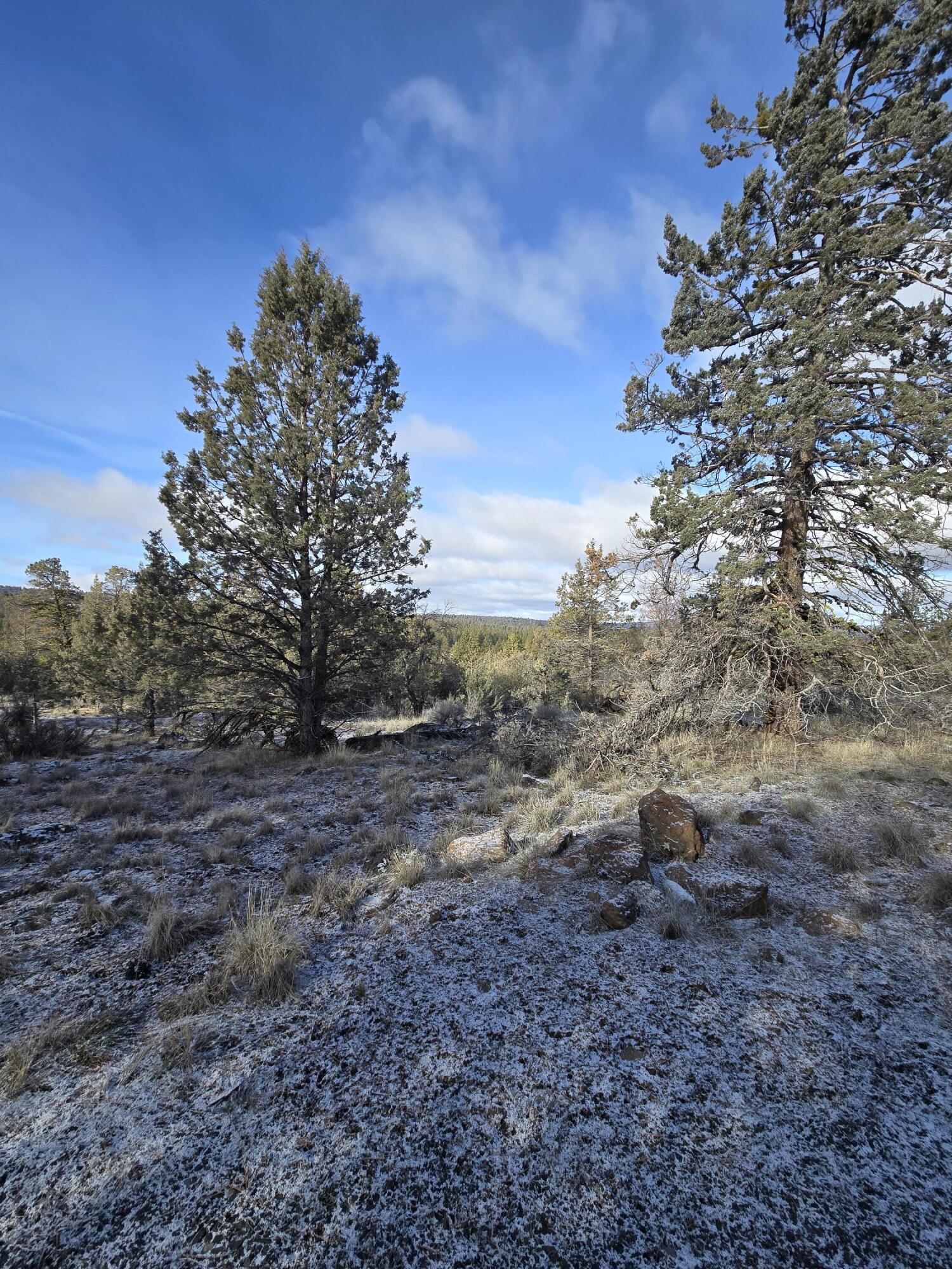 Klamath Falls Forest Estates -Hwy 66 Unit -Plat No. 2 - Land