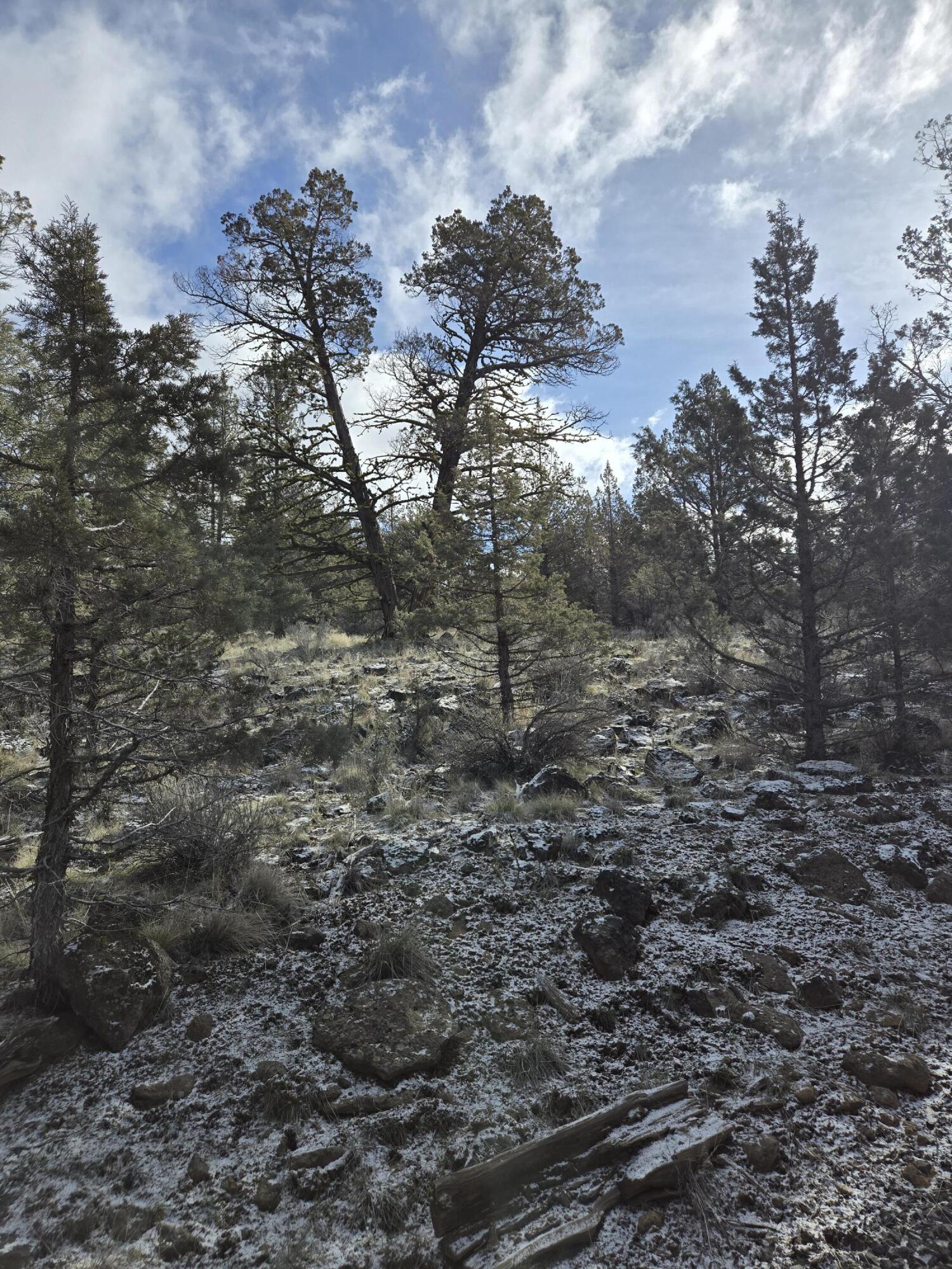 Klamath Falls Forest Estates -Hwy 66 Unit -Plat No. 2 - Land